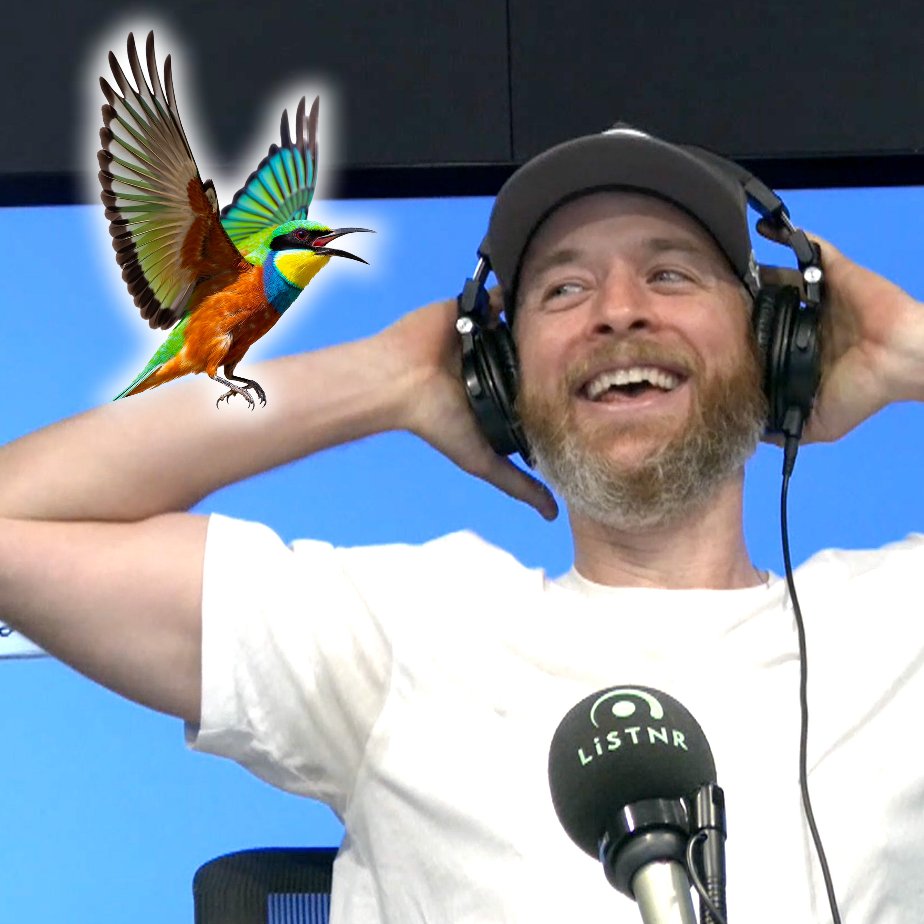 2025 Ep 294 - The Relationship Bird Test