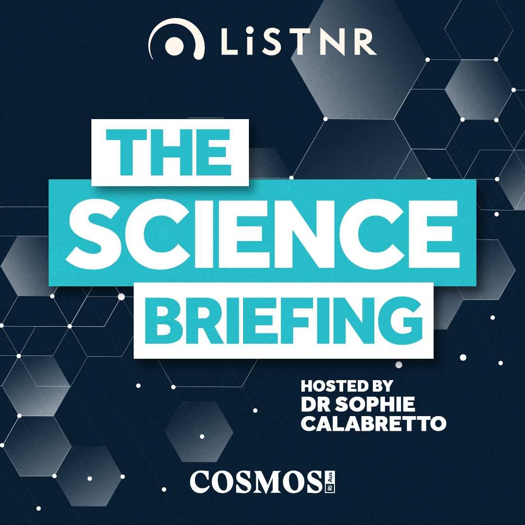 From ChatGPT to echidna snot: The science stories you missed in January