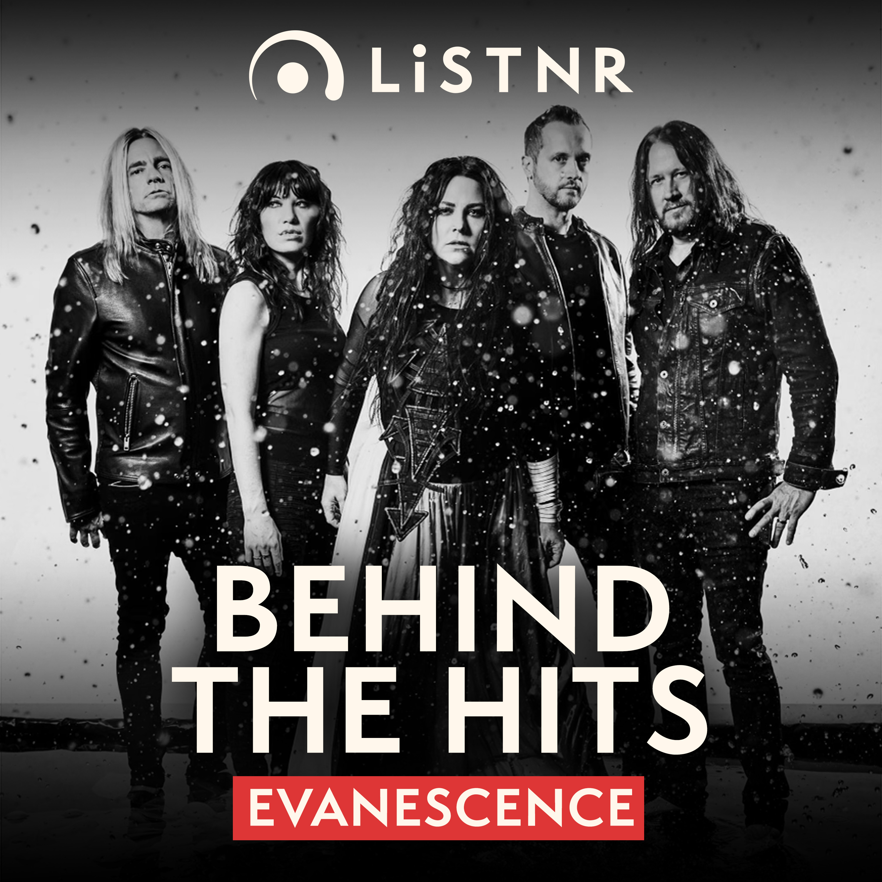 Evanescence – Rise of the Fallen