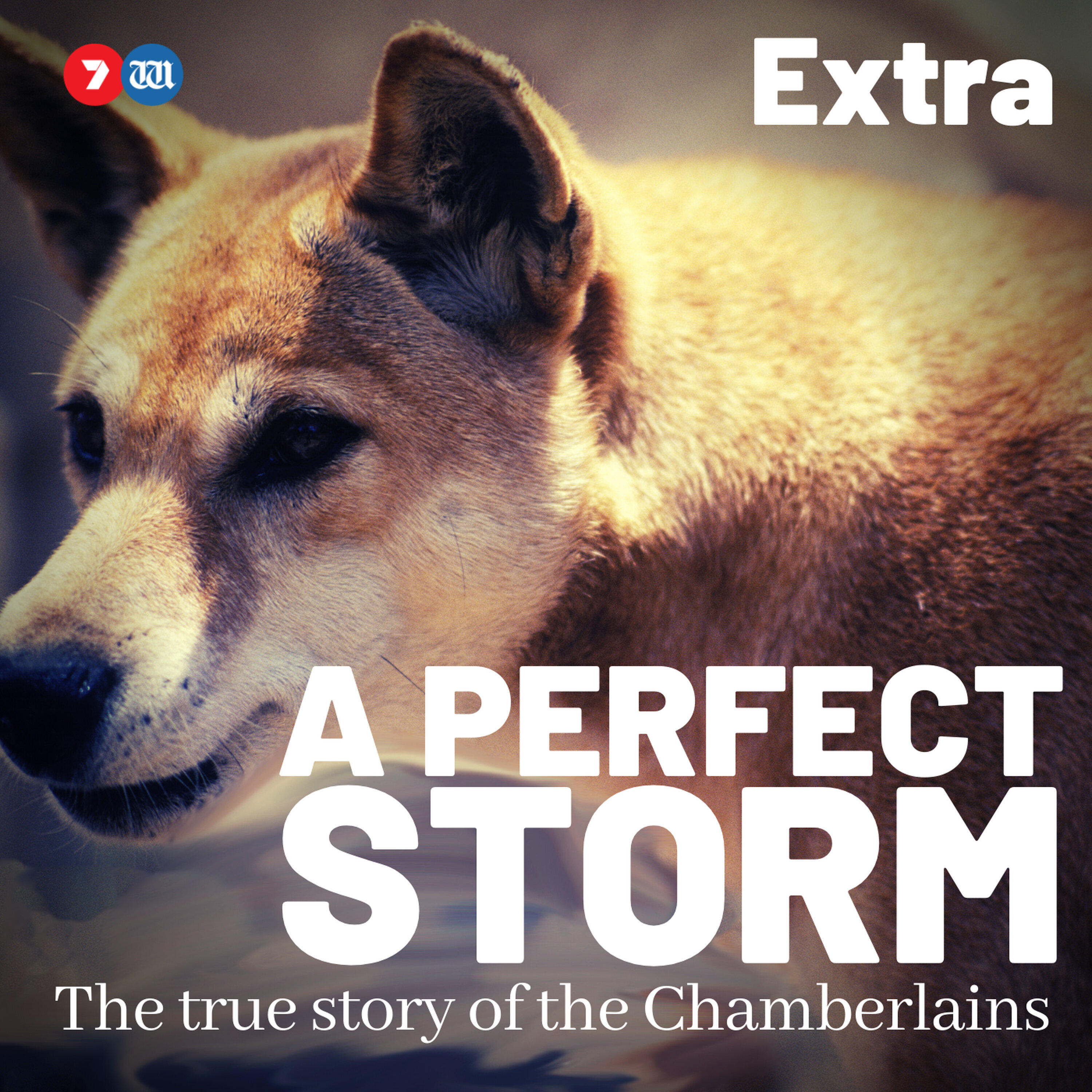 Michael Chamberlain Interview episode artwork