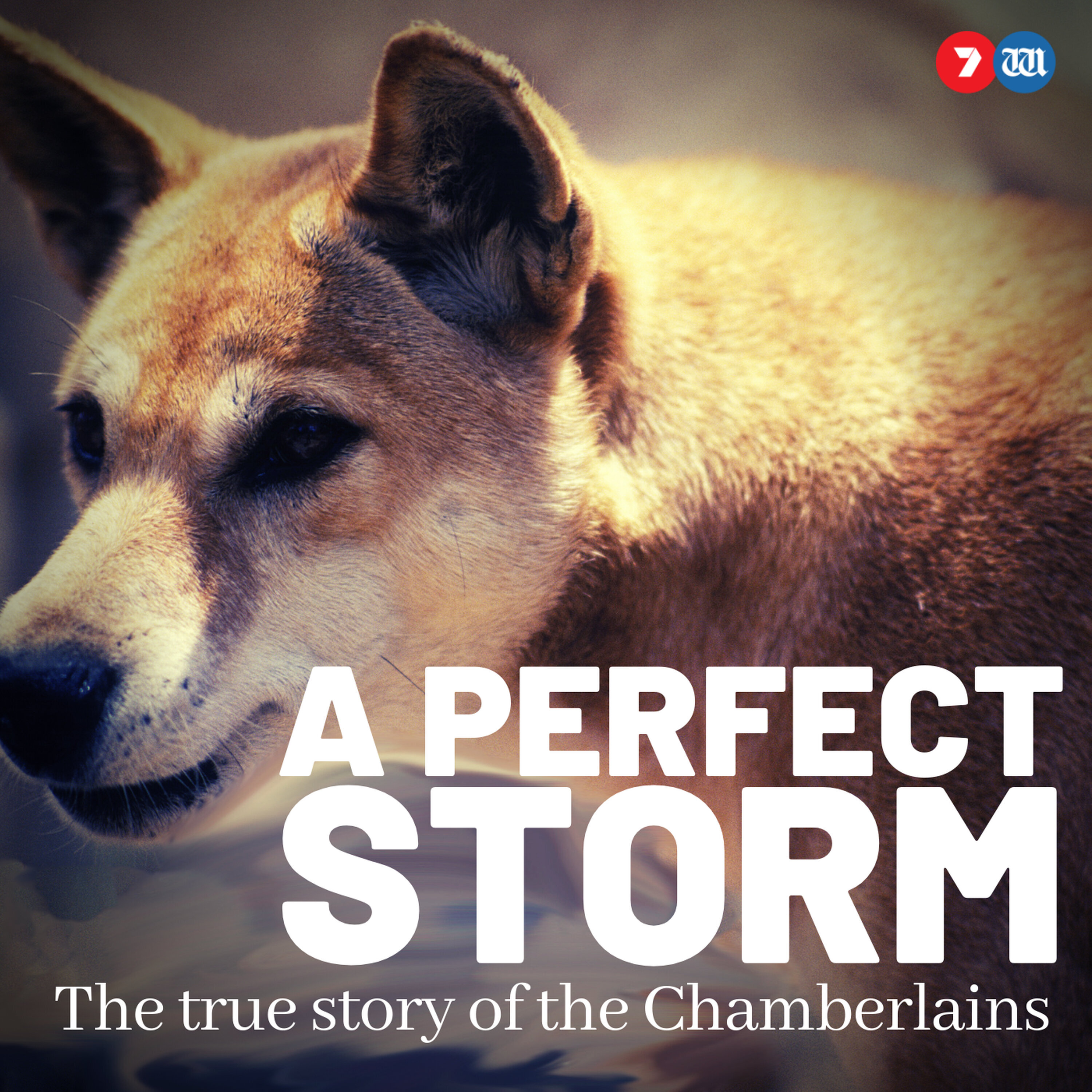 Chamberlains Interview 1980 episode artwork