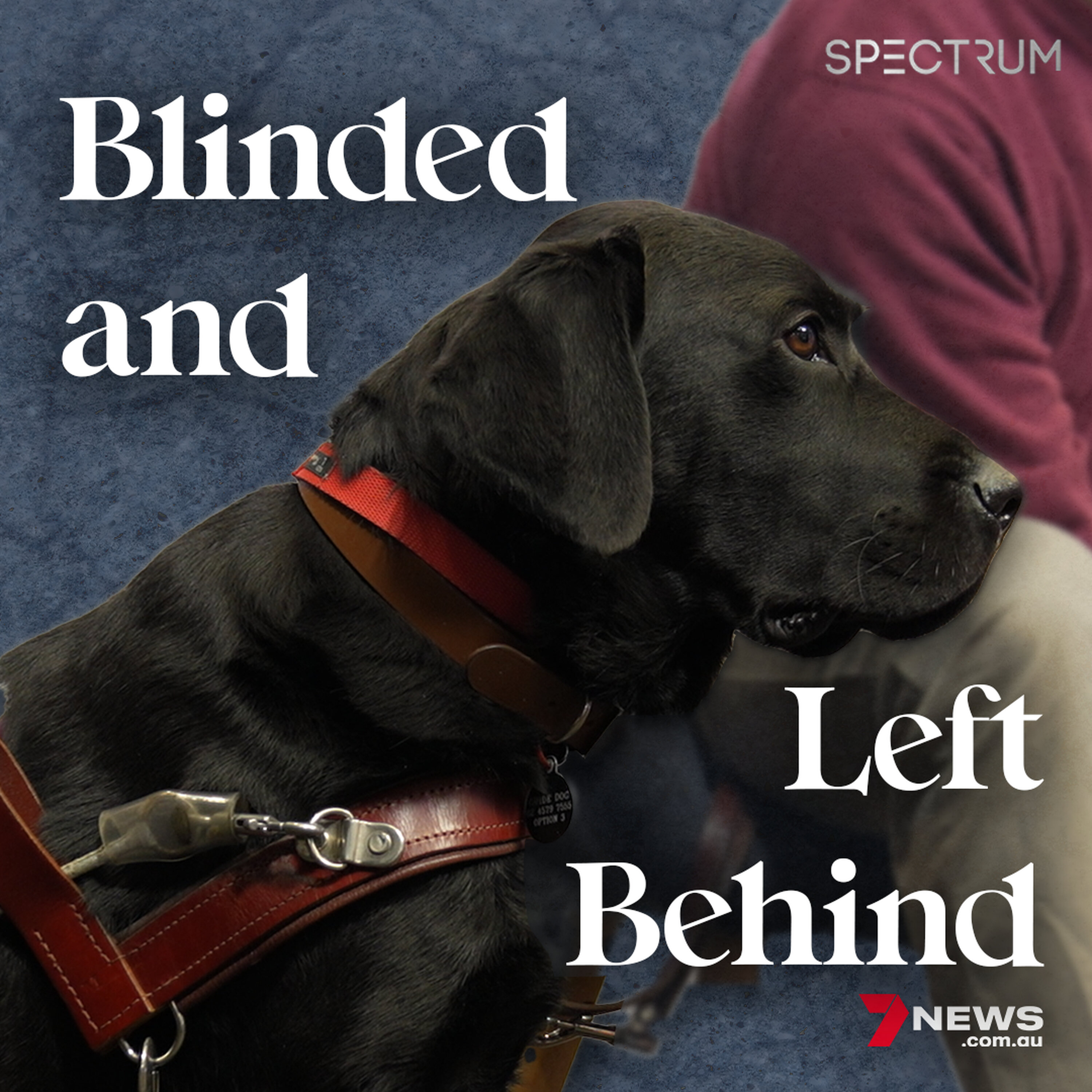 Vision impaired at 16: Blindness, guide dogs & how the world excludes people like me  | 7NEWS Spectrum