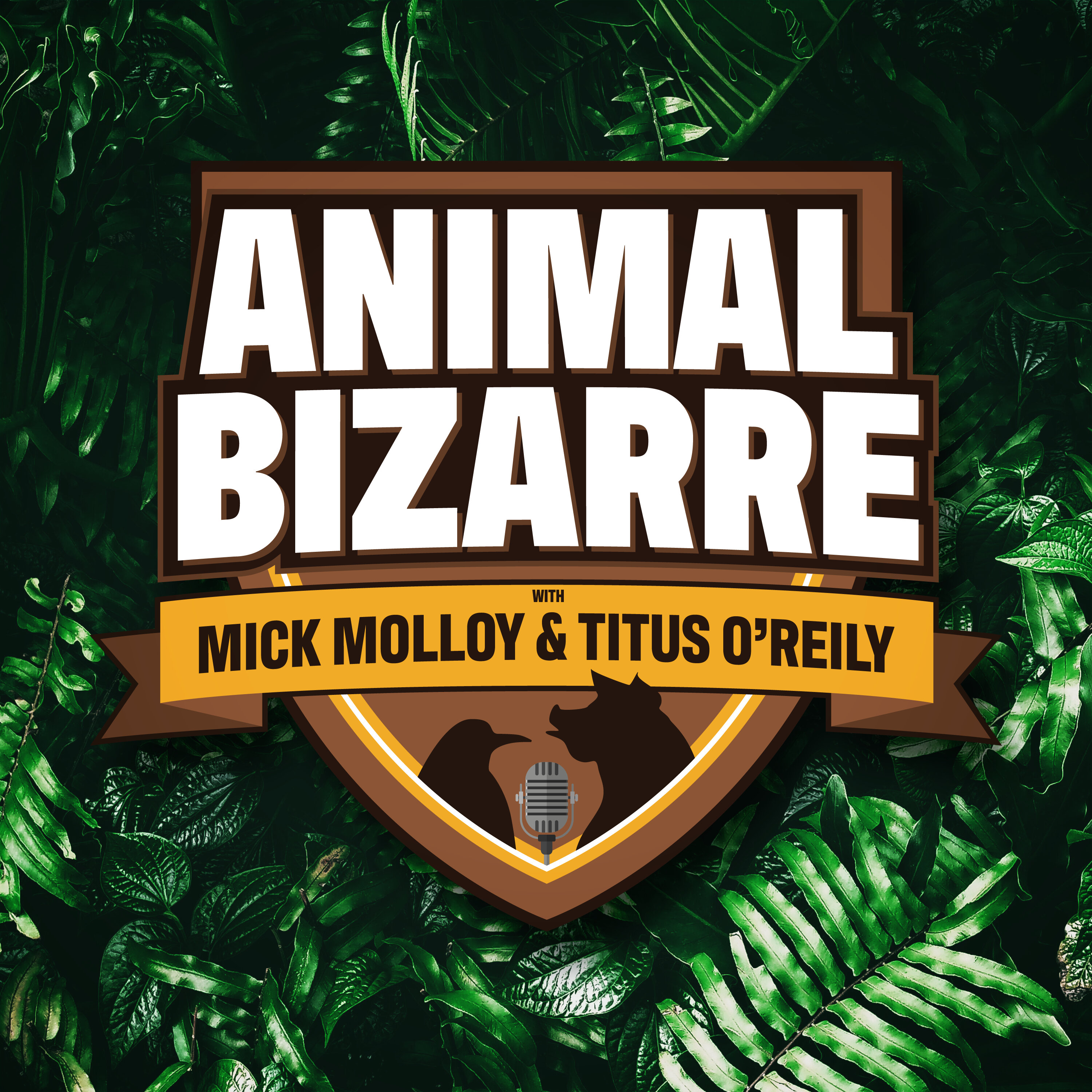 Fake Pandas and Bizarre Butterfly Biology - Animal Bizarre episode artwork