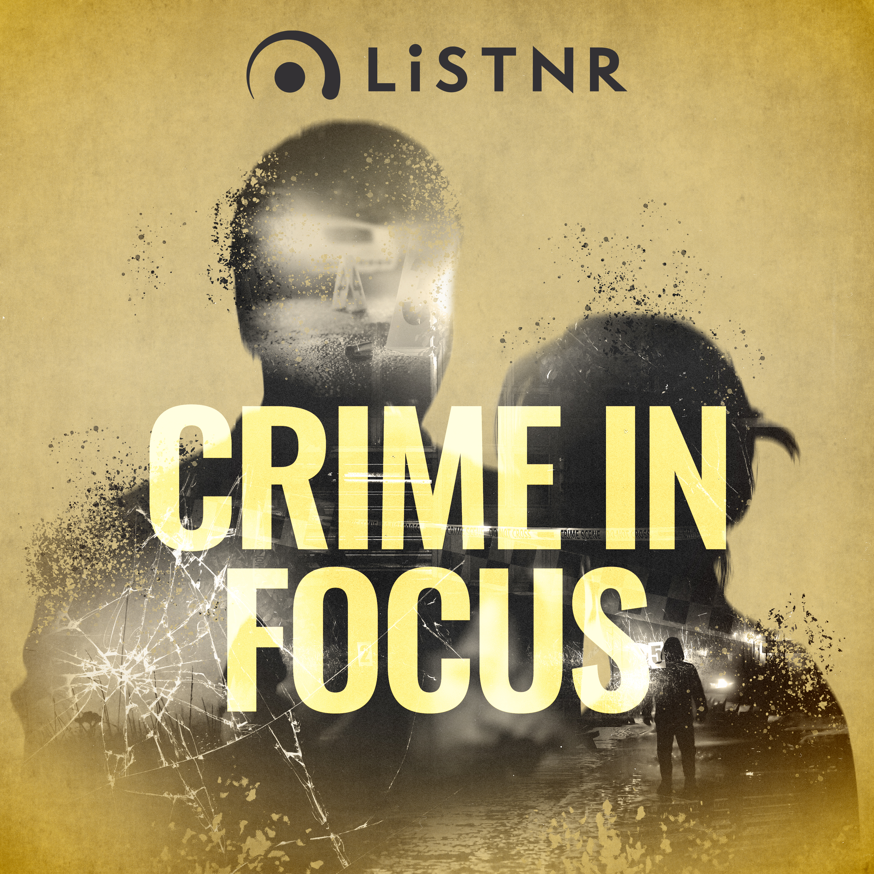 In Plain Sight: Part 4 - Voices