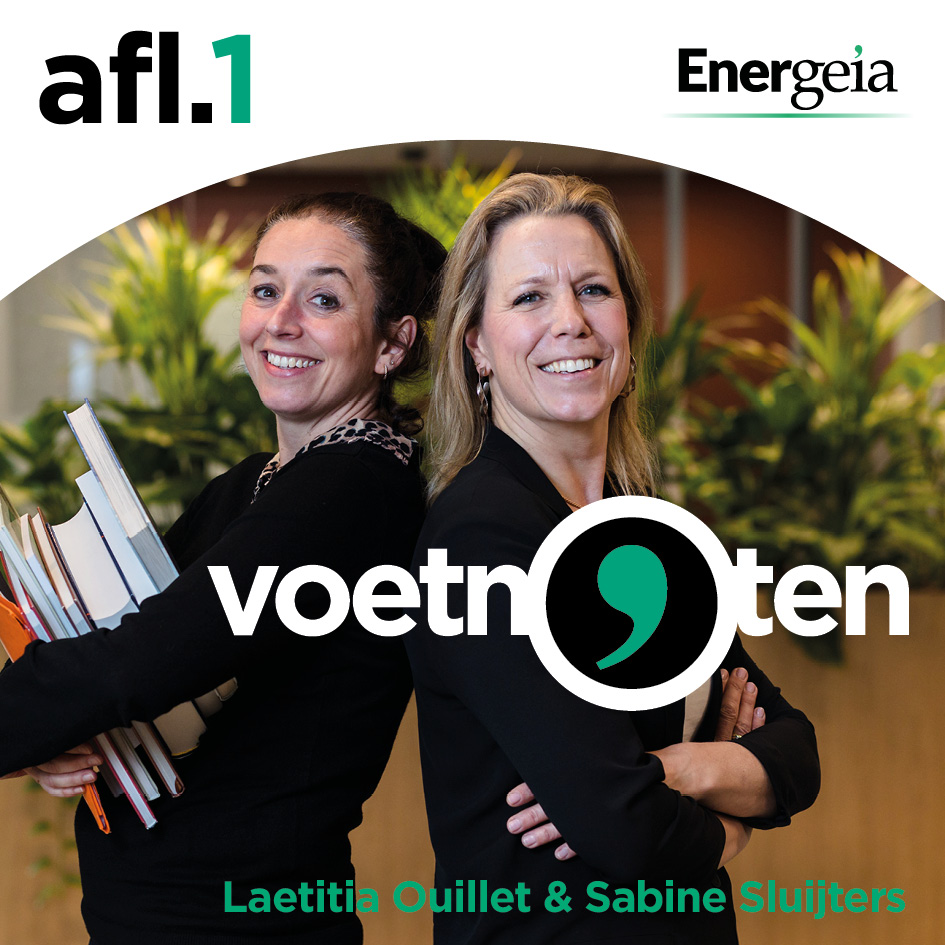 Afbouw van de salderingsregeling, wat zeggen de rapporten?