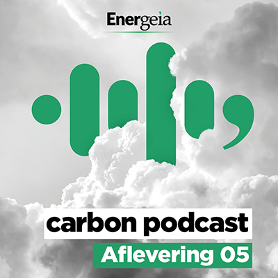 Hete lucht of echte carbon killers?