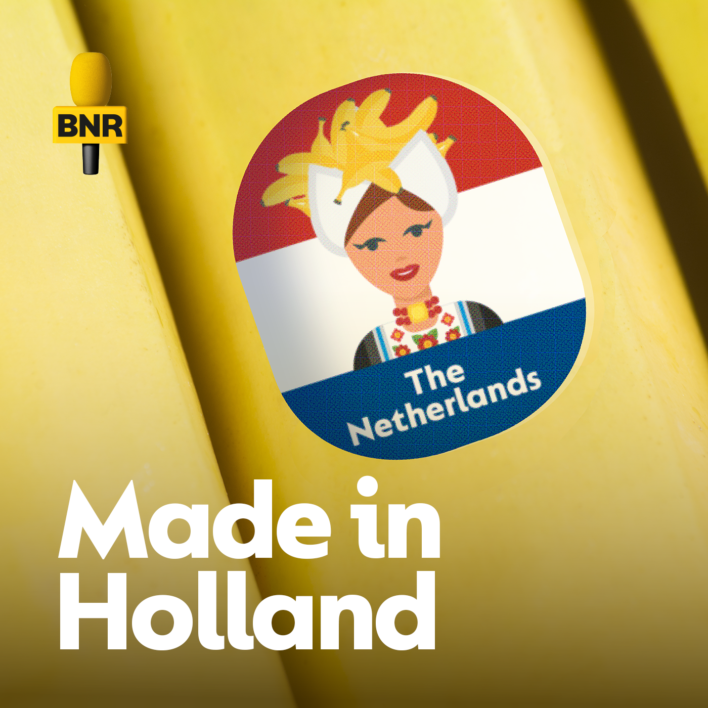 Made in Holland - Sojamelk uit Enschede