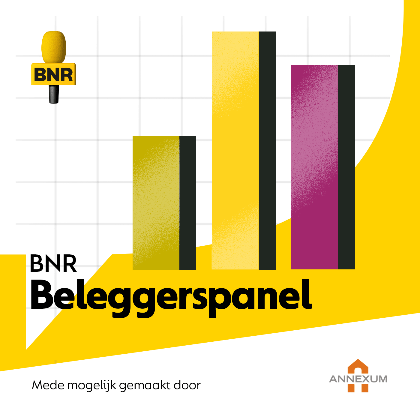 Beleggerspanel over de SPAC van Trump