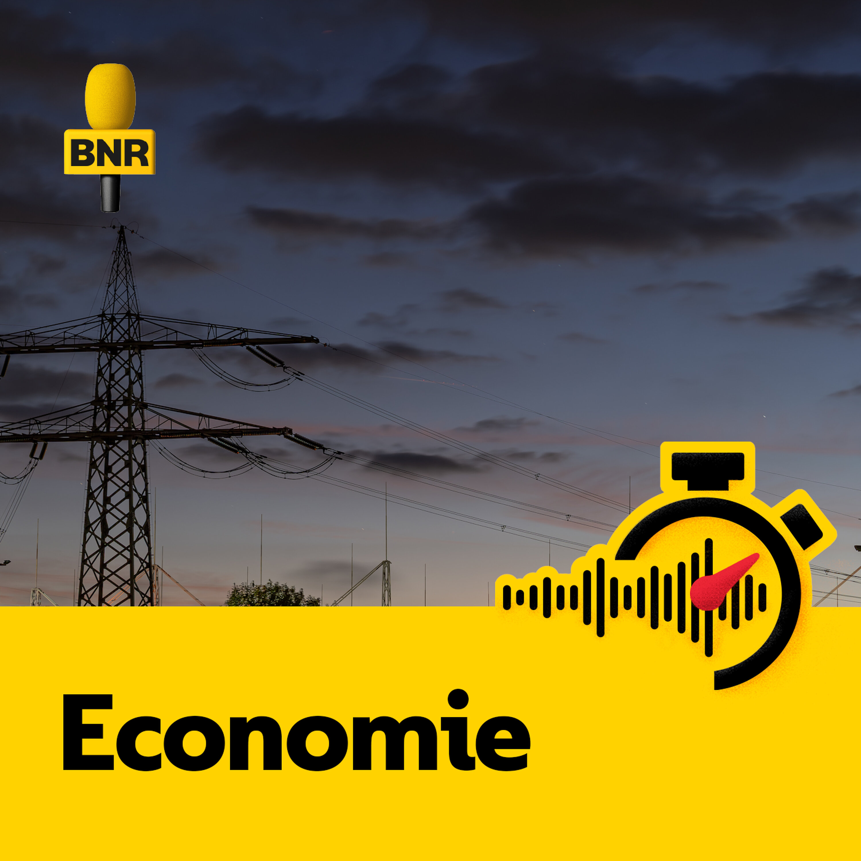 Netbeheerders te traag met flexcontracten, toezichthouder eist verbeterplan Netbeheerders te traag met flexcontracten, toezichthouder eist verbeterplan