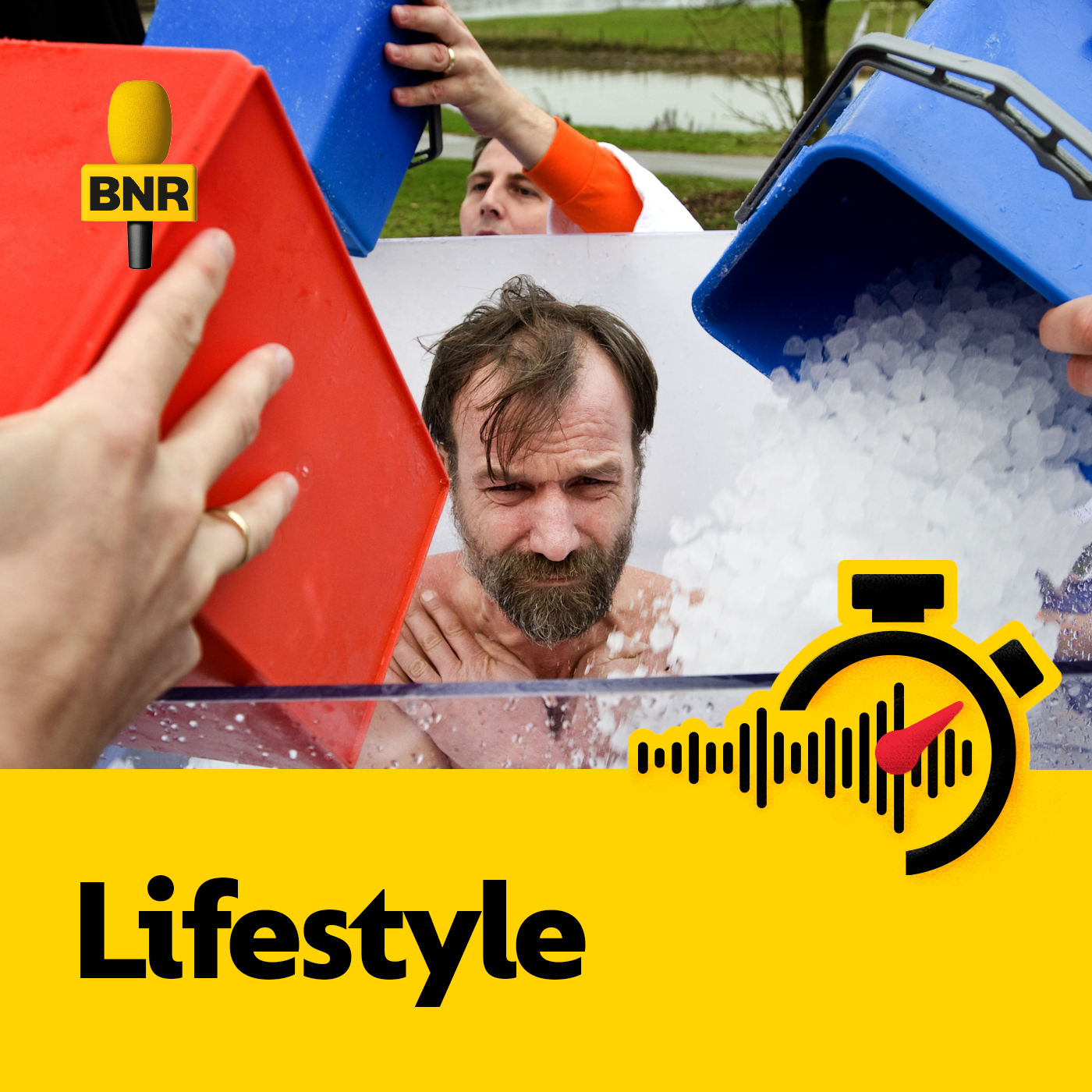 Bedrijven waren jarenlang bevangen door de IJsman