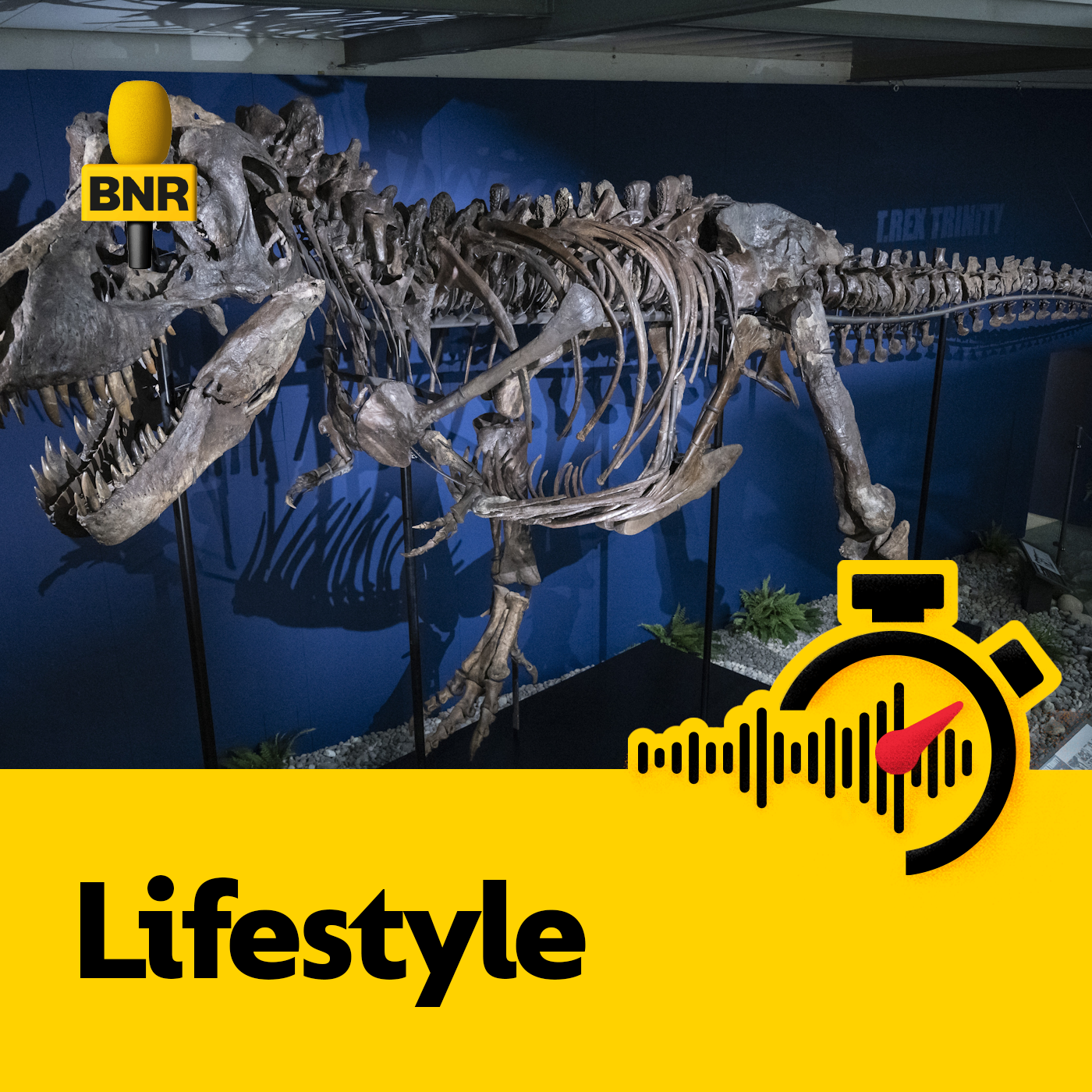 Onderzoek verklaart waarom T-rex zulke kleine armen had