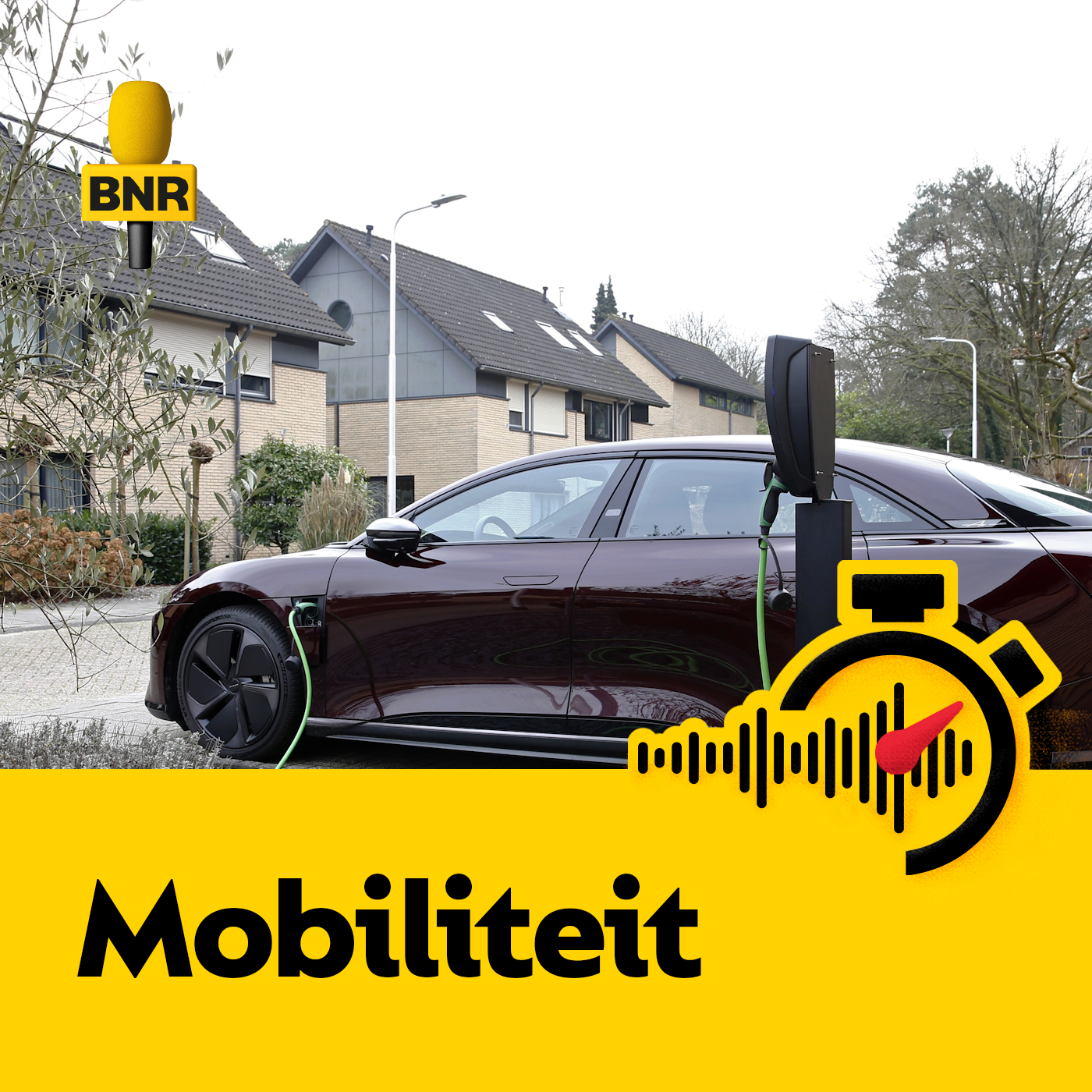 Interesse in elektrisch rijden neemt voor het eerst af ‘door vooroordelen en wisselend overheidsbeleid’