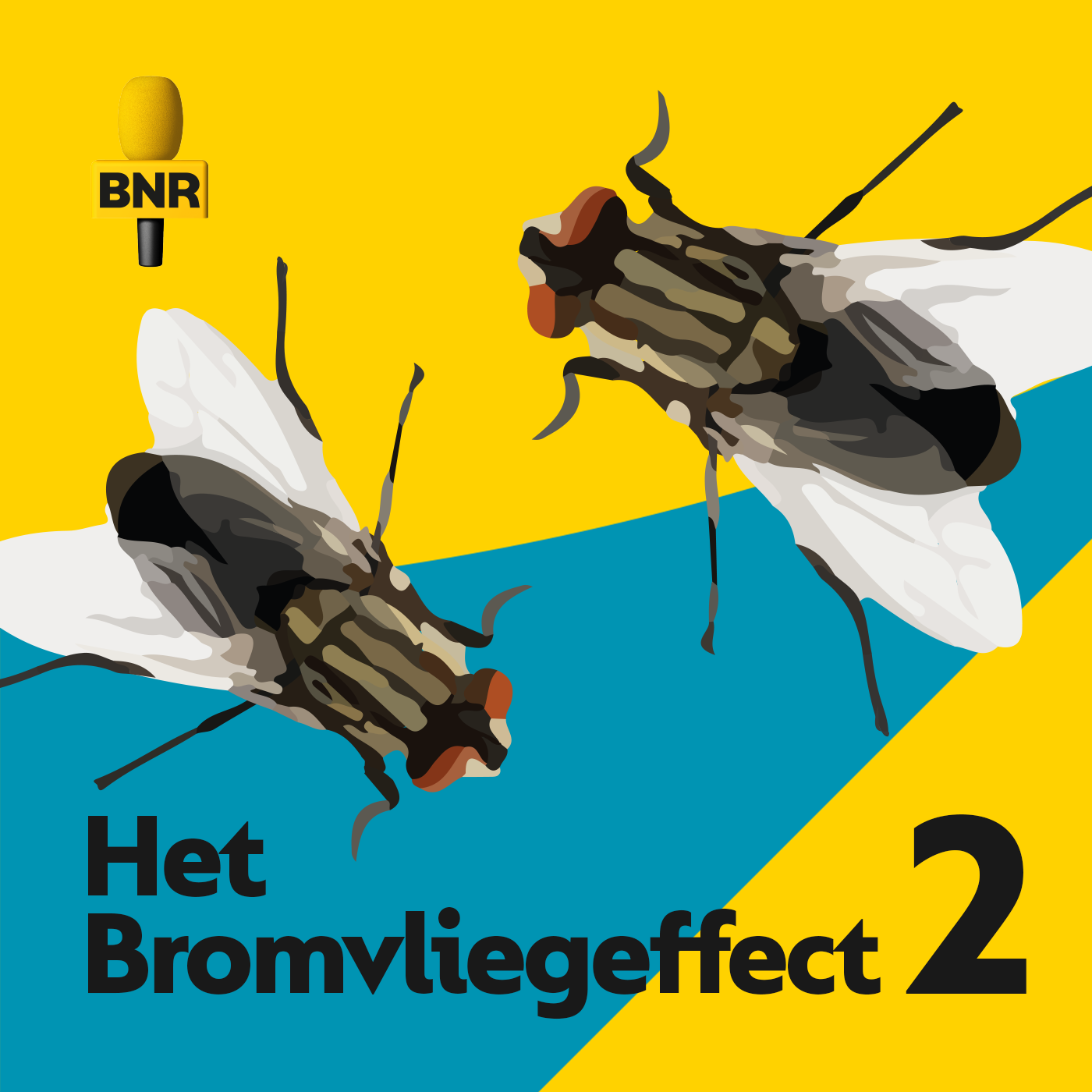 4. WEL – Begrijp wat ze beweegt