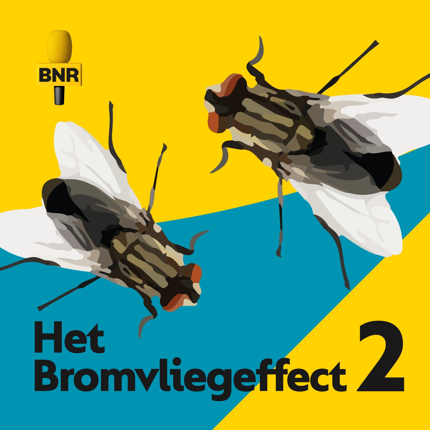 Het Bromvliegeffect