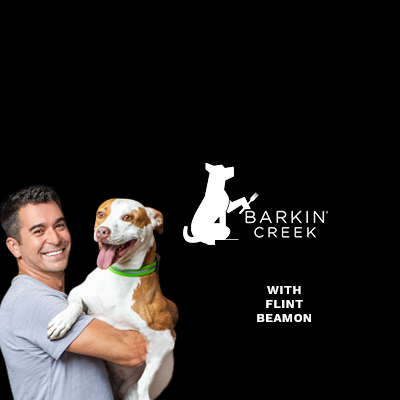 Backstory Beginnings – Flint Beamon with Barkin’ Creek Dog Kitchen & Bath