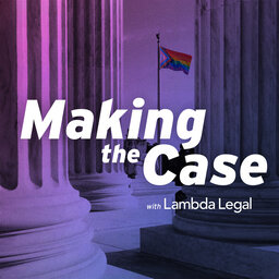 Introducing Making the Case with Lambda Legal