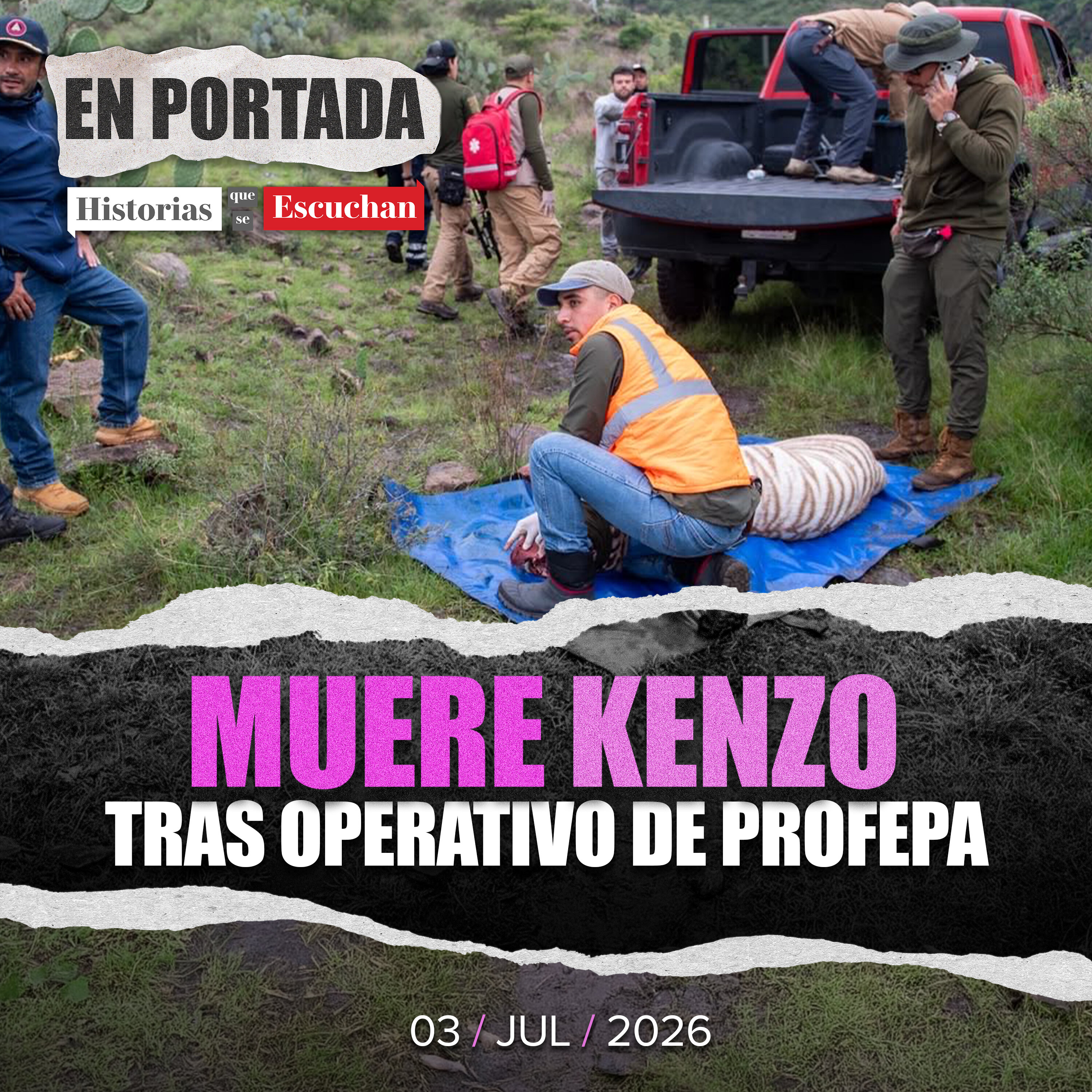 Rescate fallido: tigre de bengala, Kenzo, muere baleado episode artwork