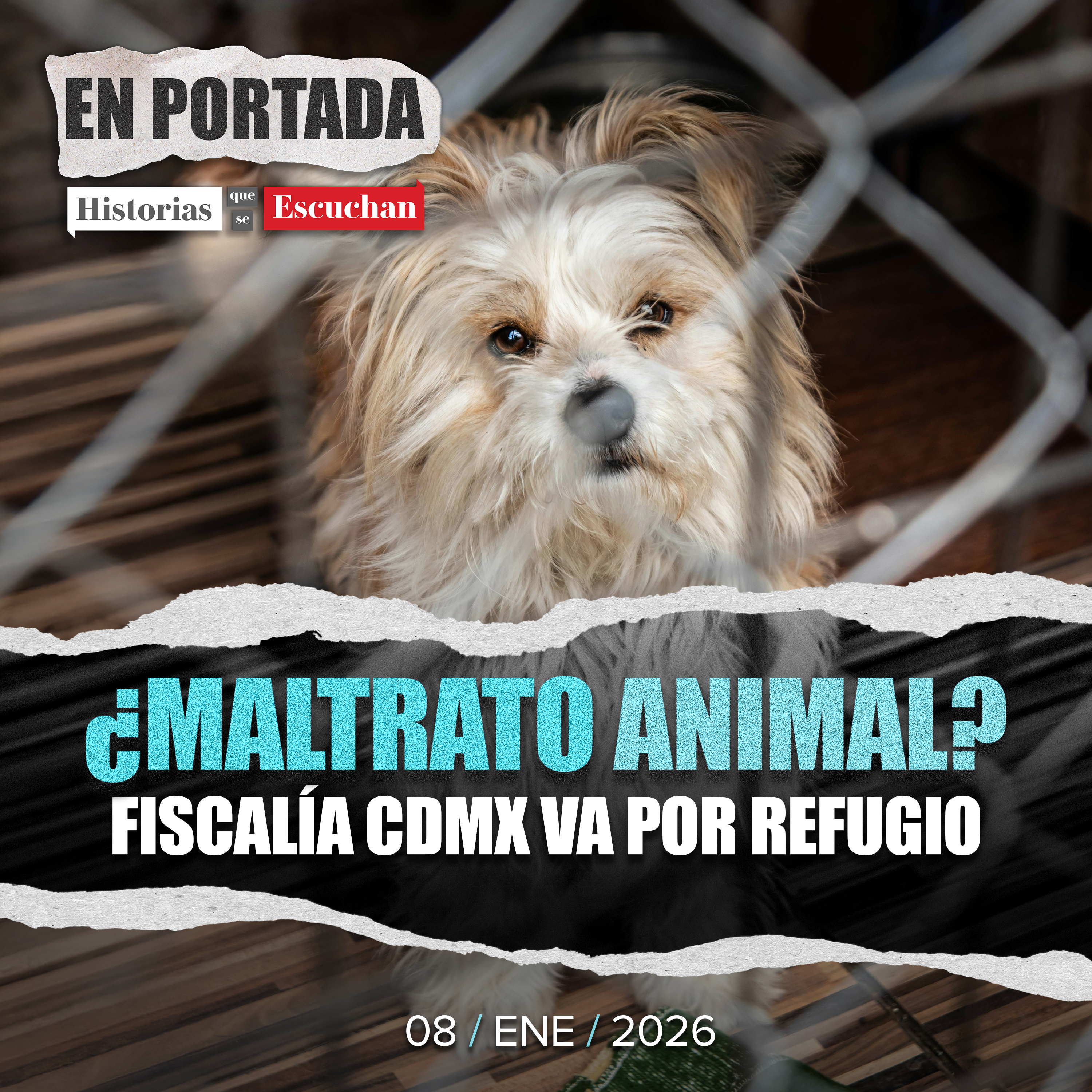 Destapan actos de maltrato animal en medio de disputa por Refugio Franciscano en CdMx