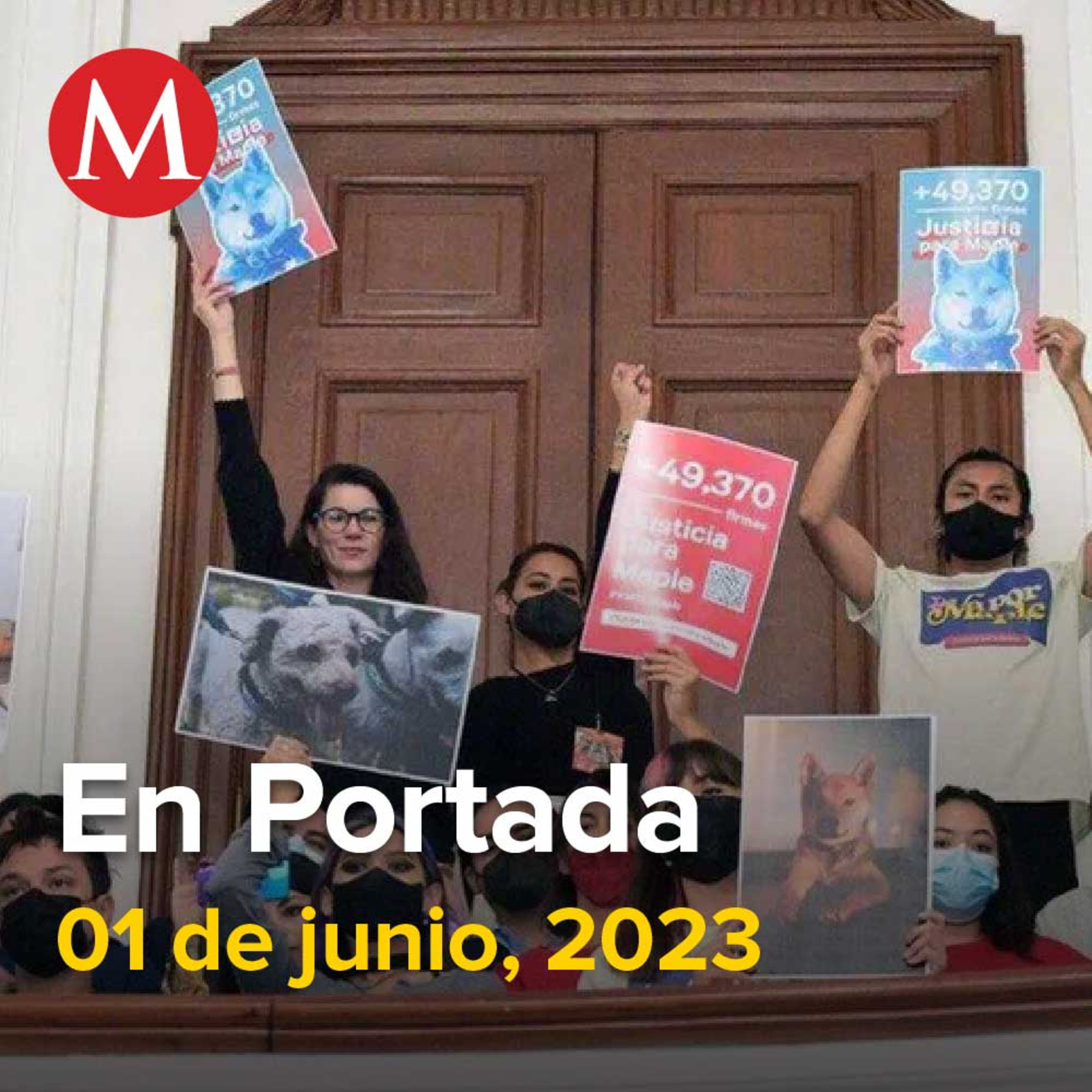 01-junio-2023. CdMx avanza en derechos de los animales, Vinculan a proceso a Sergio 'N'; responsable de arrojar perro a cazo con aceite, Es justo que México tenga su primera presidenta: Sheinbaum.