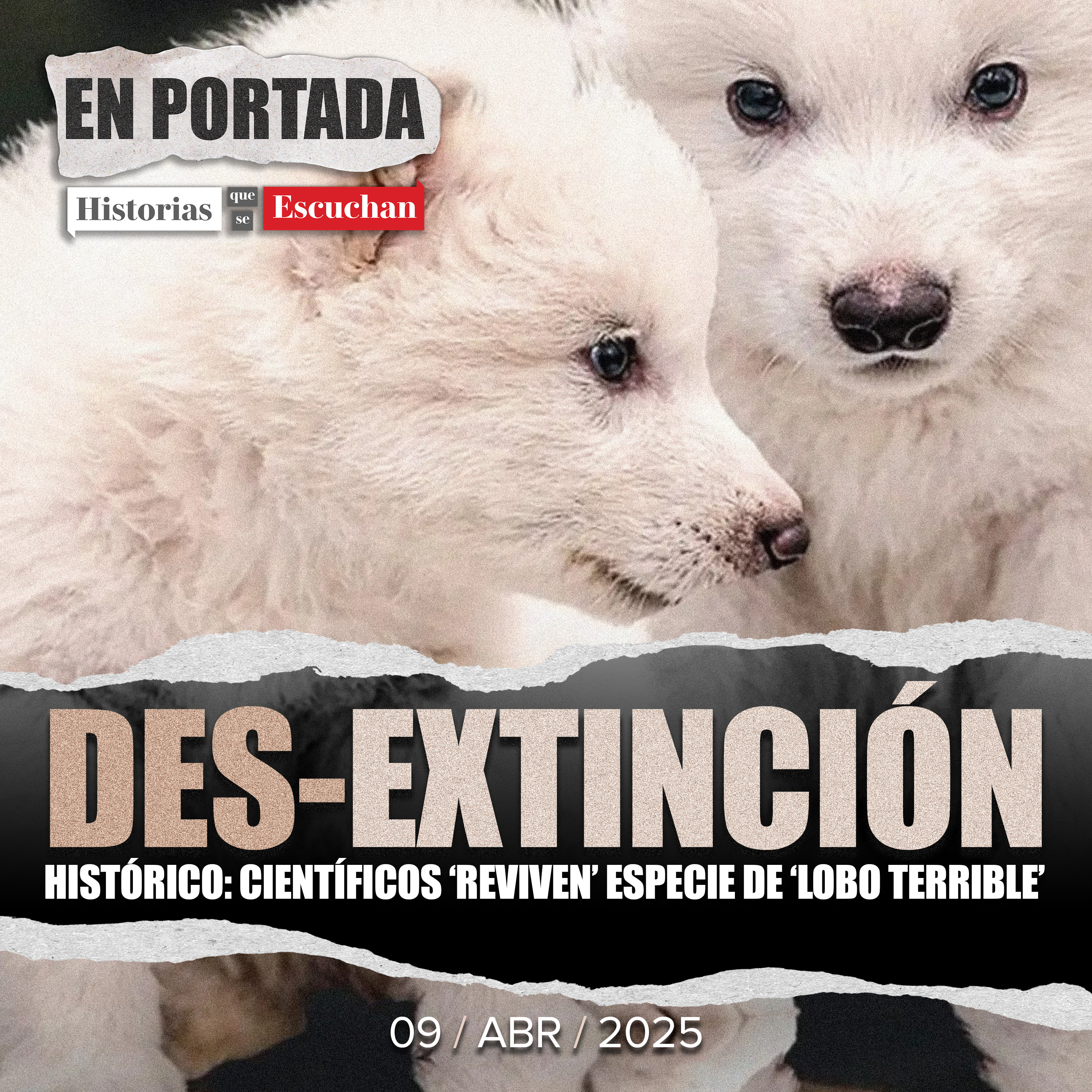 Recrean especie de Lobo Terrible, extinta hace 12 mil años
