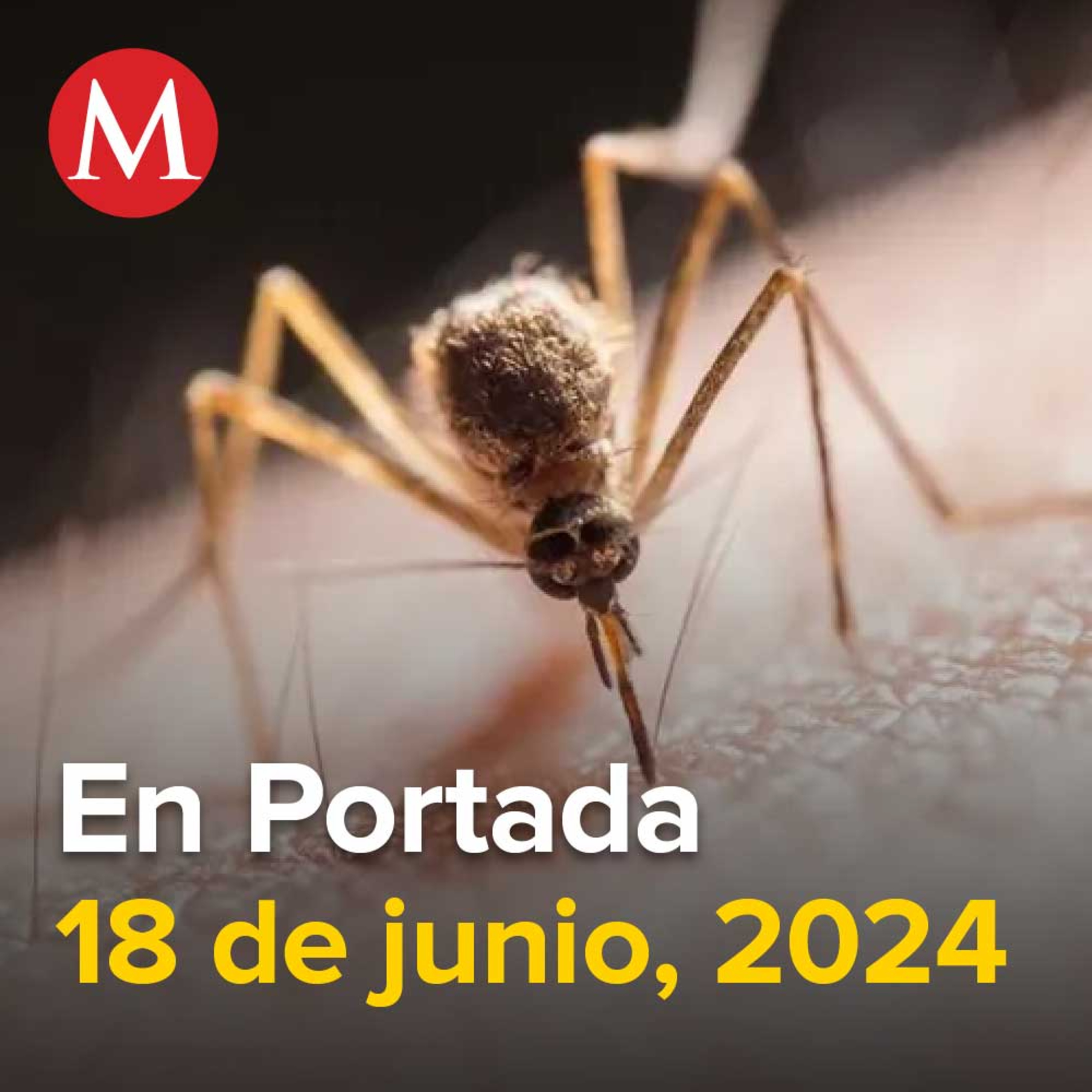 18-junio-2024. Alerta roja en Oaxaca por aumento del 300% en contagios de dengue, AMLO acepta "riesgos" en elección del Poder Judicial, Suspenden clases en Nuevo León por pronóstico de lluvias.