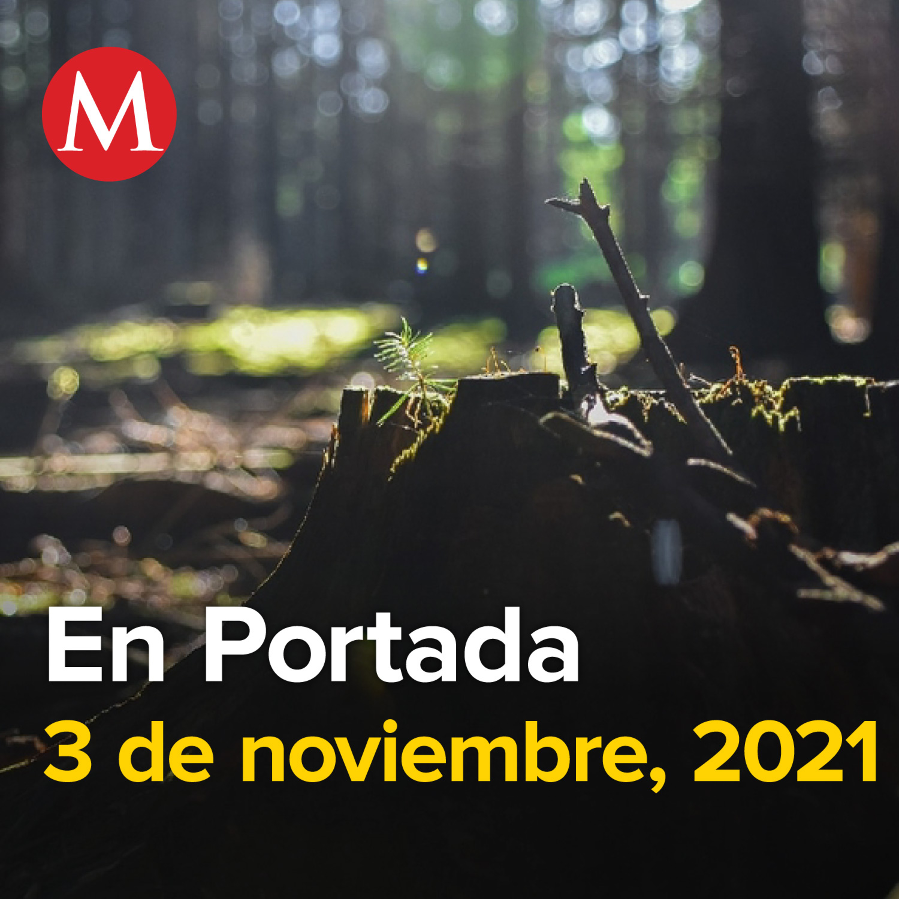 3-noviembre-2021. México firma acuerdo de COP26 para frenar deforestación. Samuel García anuncia impuesto verde a empresas contaminantes en Nuevo León