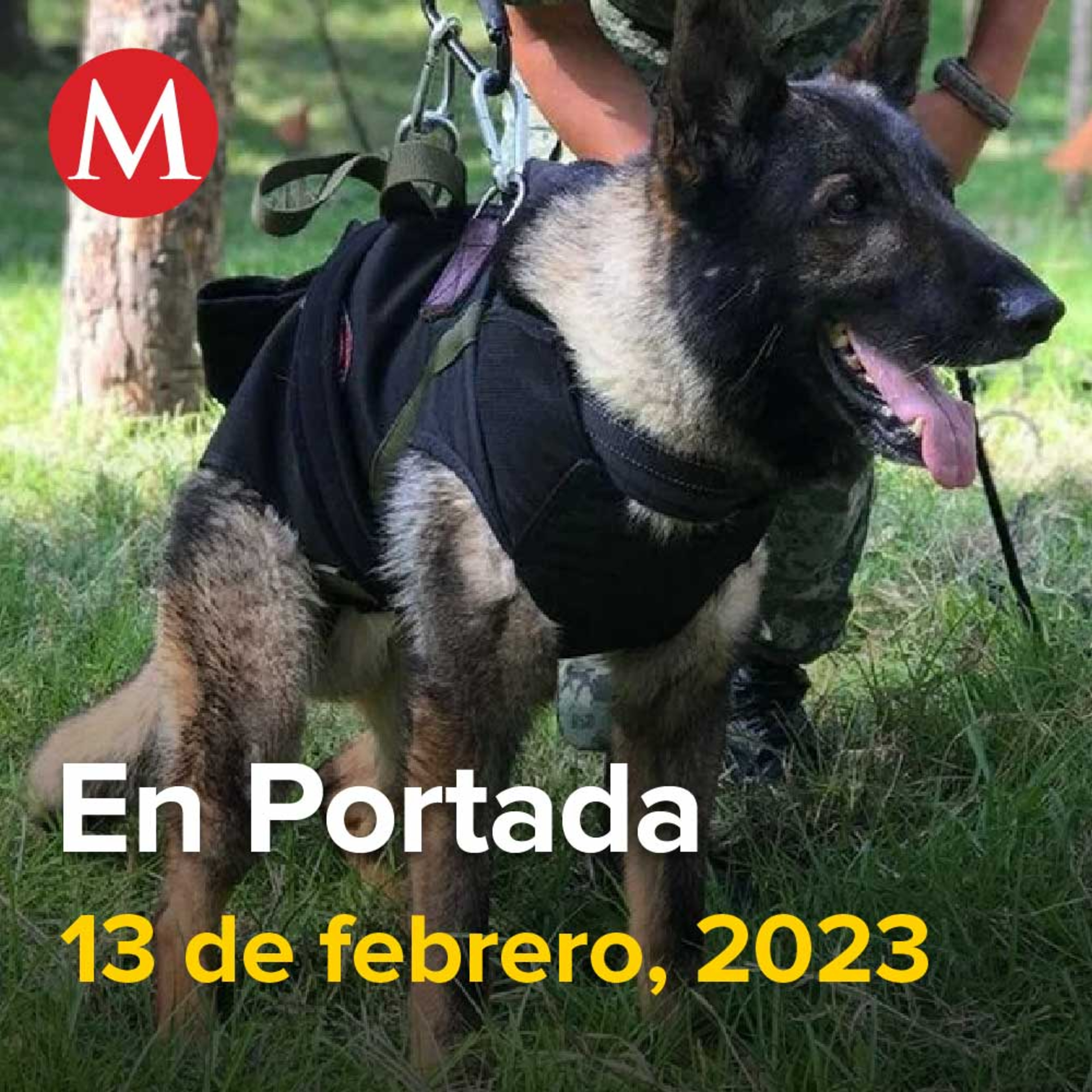 13-febrero-2023. Murió 'Proteo', perrito rescatista de México que fue a Turquía tras terremoto, Ebrard descarta tensión con EU por bloqueo a Cuba, IMSS reconoce solidaridad del presidente de Cuba.