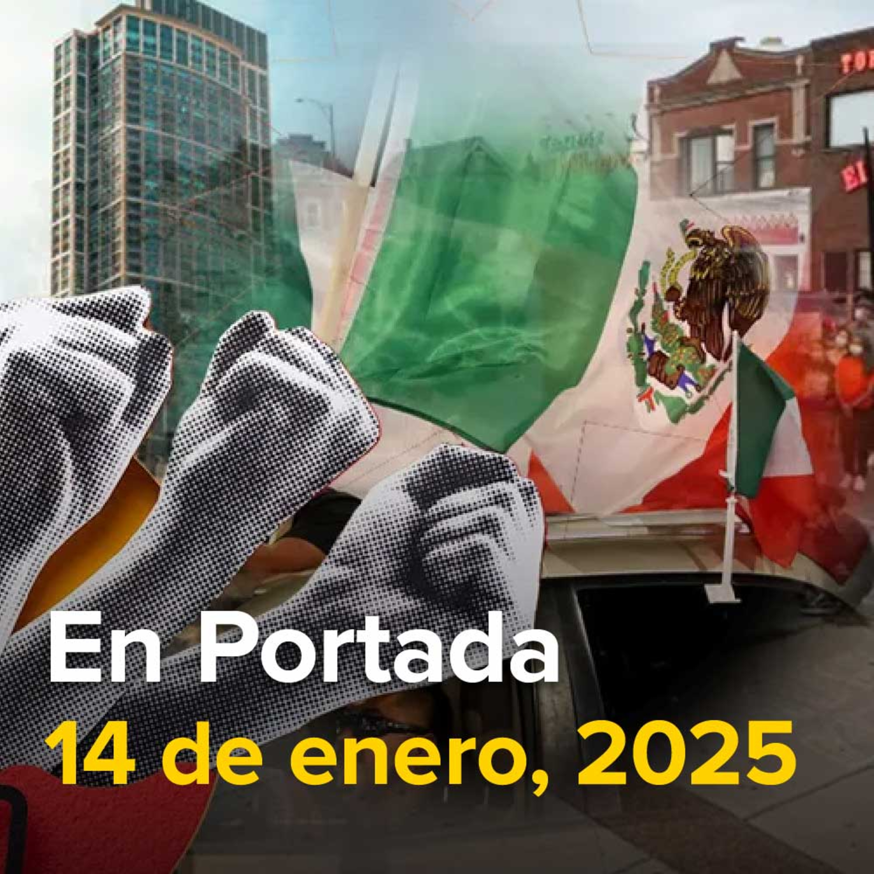 México encabeza resistencia contra Trump; convocan a paro de labores, Sheinbaum presenta Plan México ante cualquier incertidumbre, Activistas pintan la tumba de Charles Darwin en protesta.