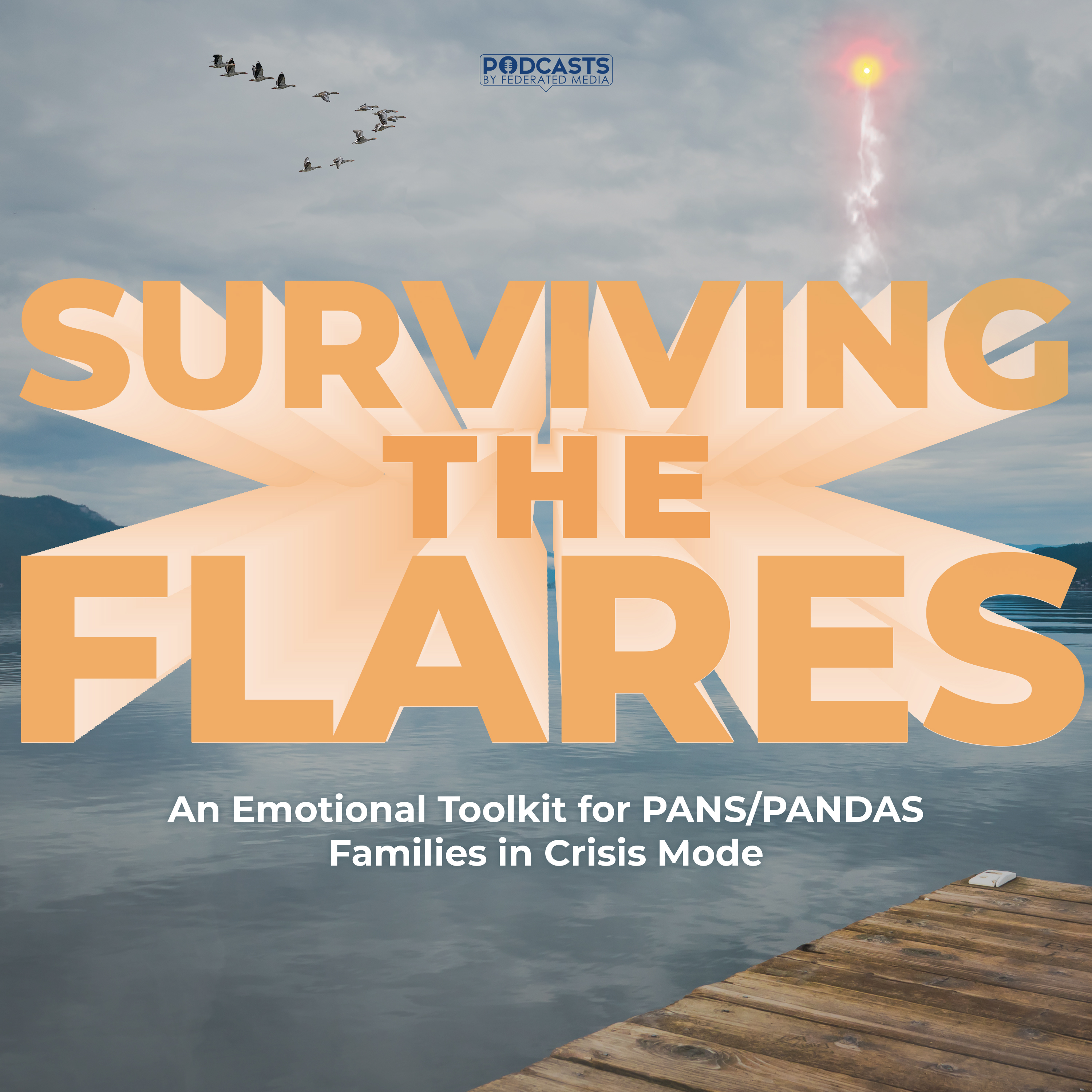 Tools To Help Your Family Survive A PANS/PANDAS Flare