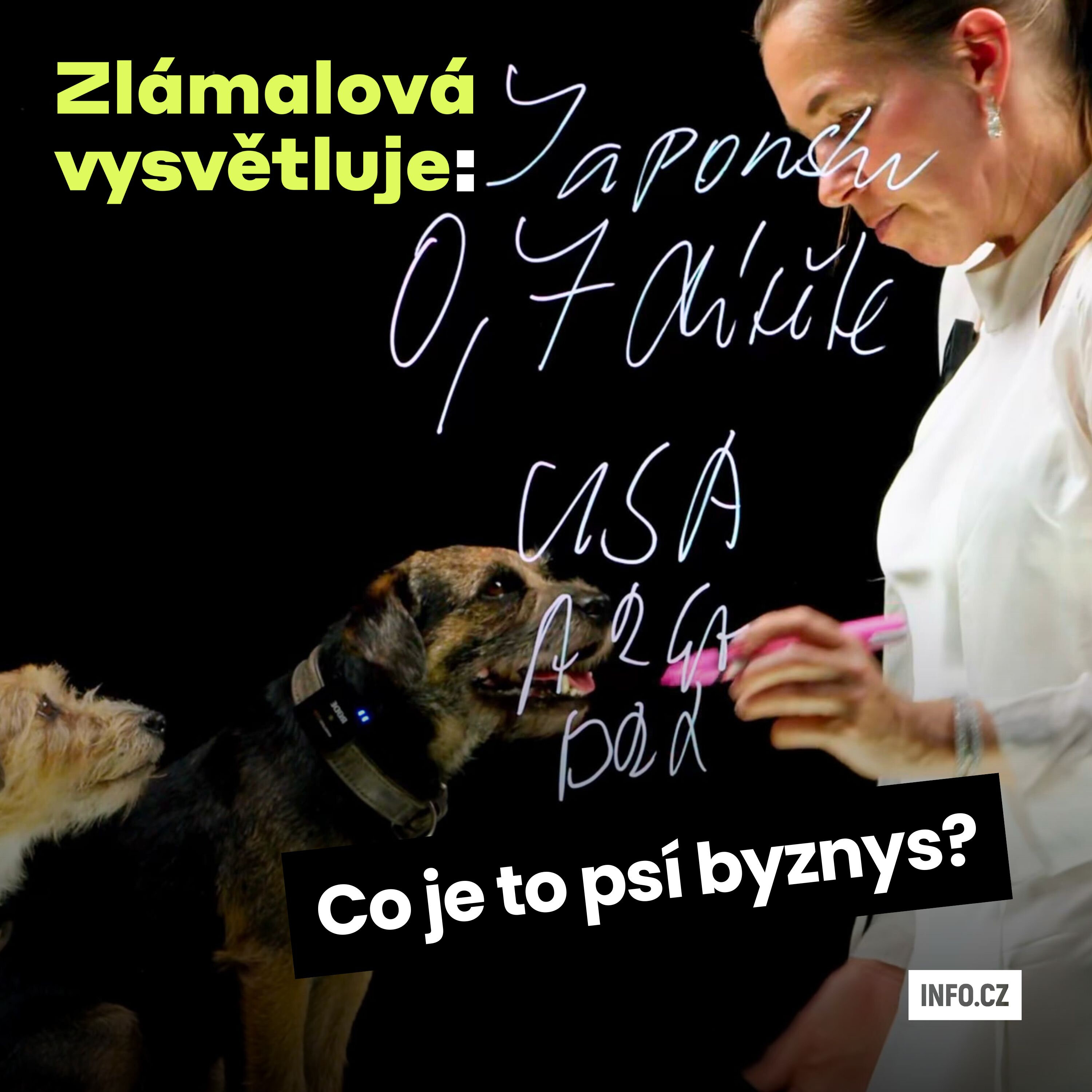 Zlámalová vysvětluje: Jak psi a kočky roztáčejí kola světové ekonomiky