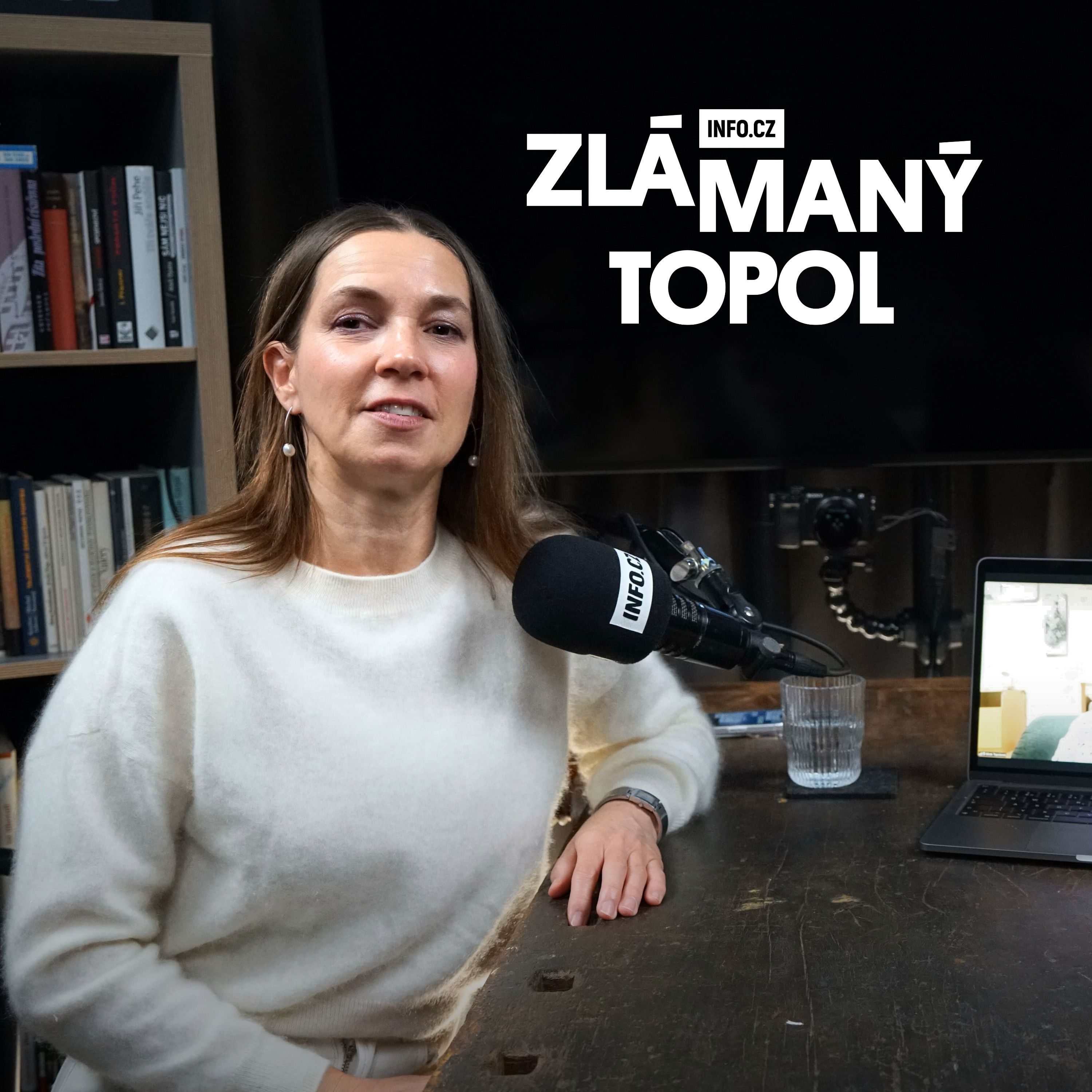 Německé dotace na elektřinu ničí evropský trh a ohrožují Česko. Babiš musí jednat