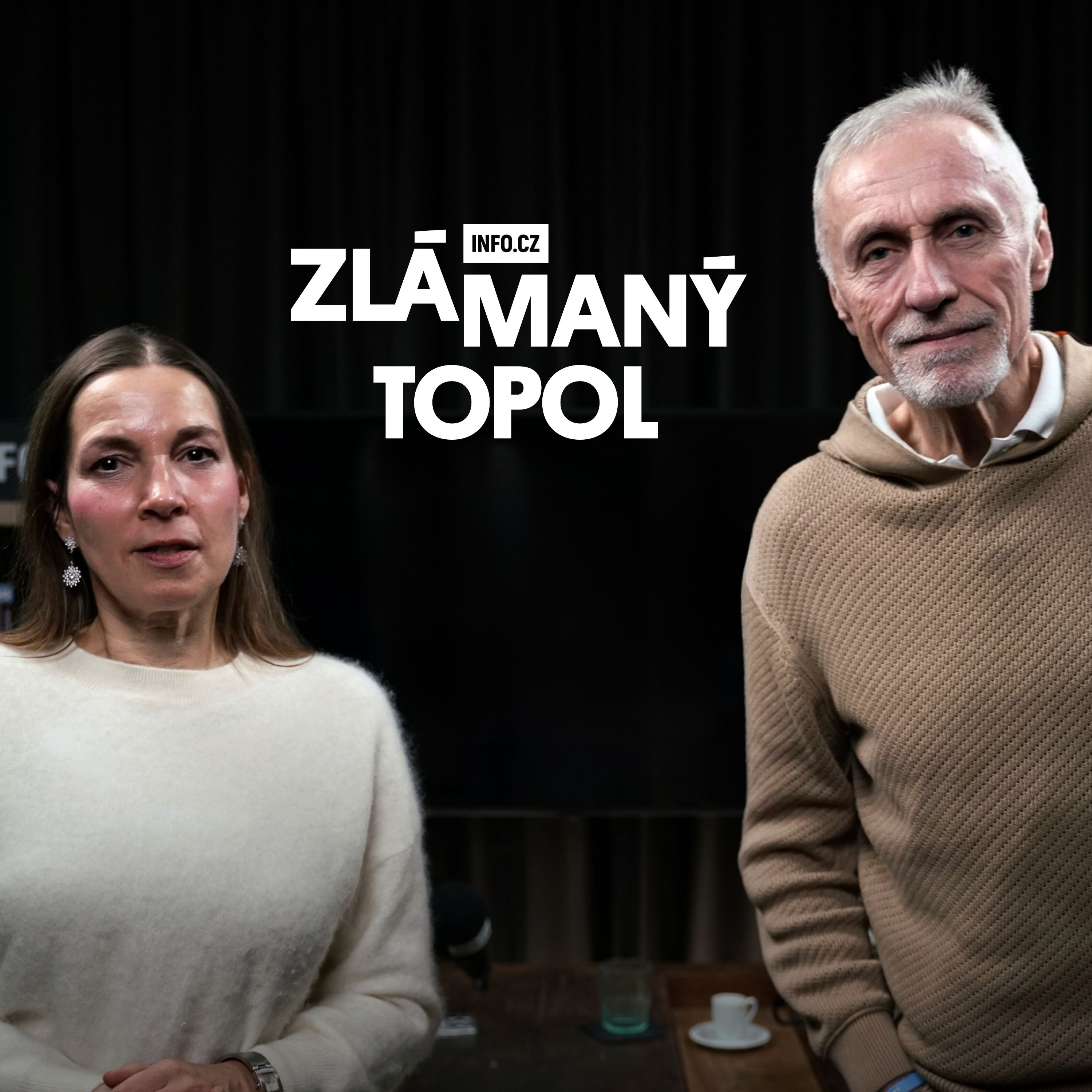 „Andreji, zablokuj to, jinak nás zničí.“ Topolánek posílá Babišovi ostrý vzkaz před summitem