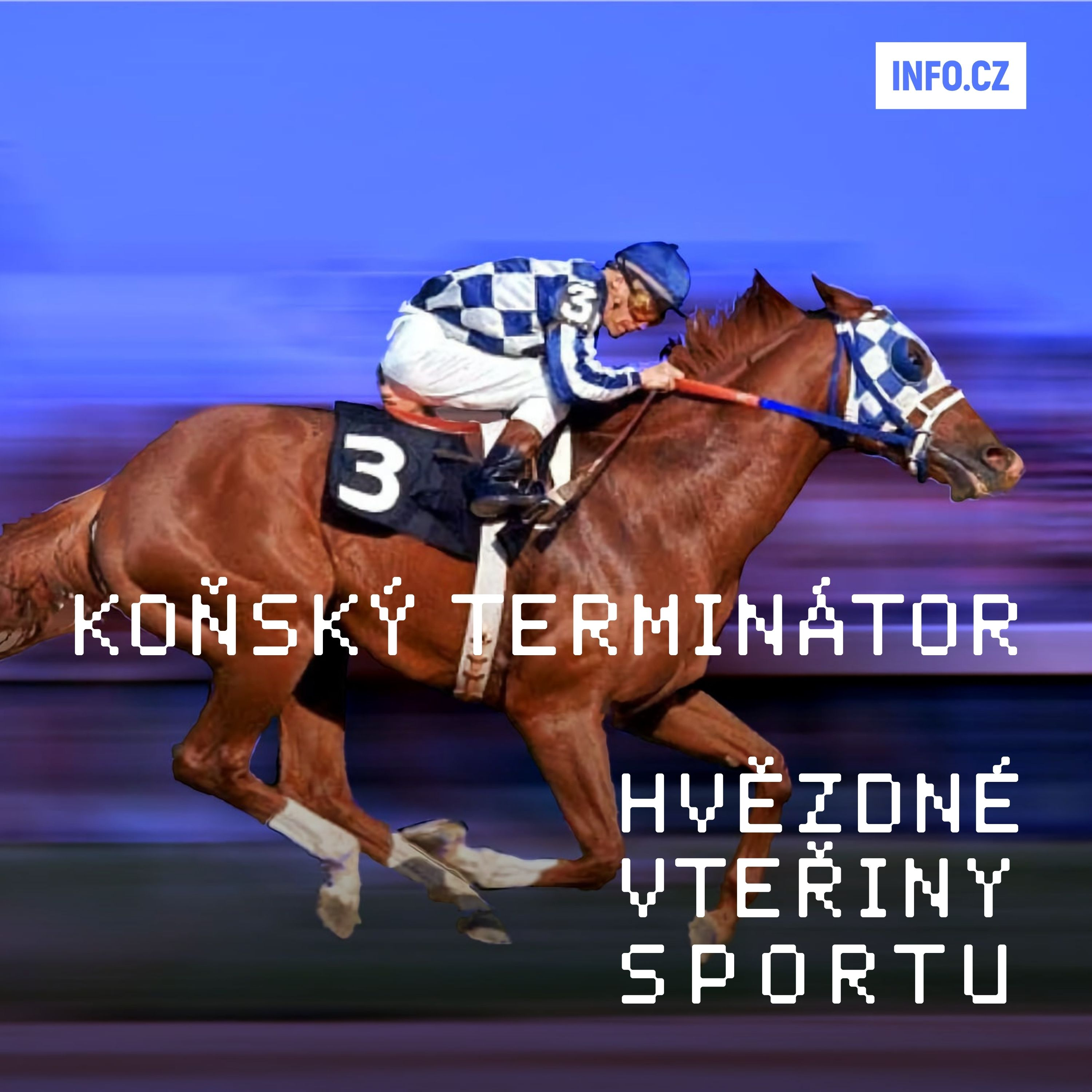 Hvězdné vteřiny sportu
