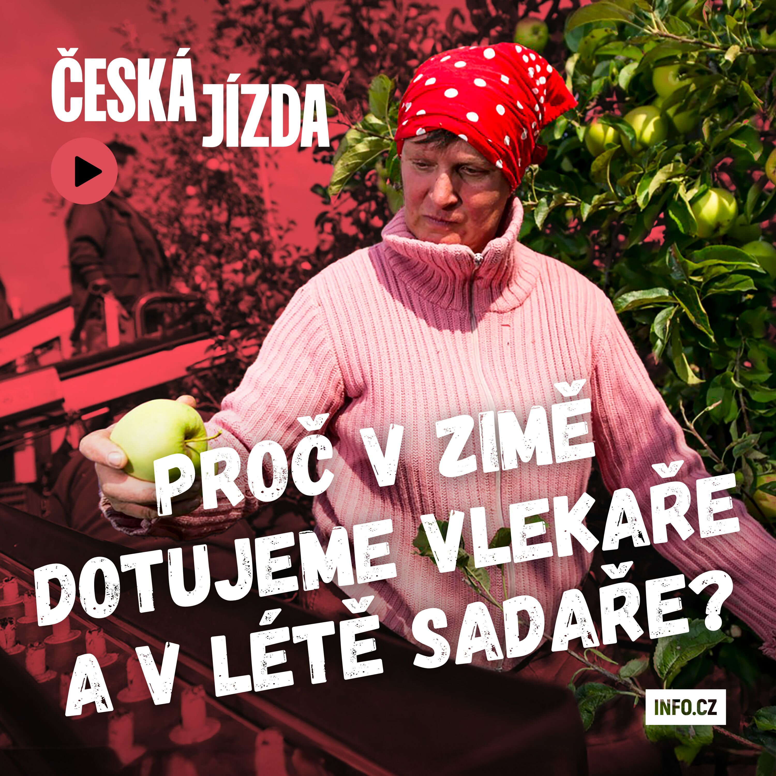 Česká jízda