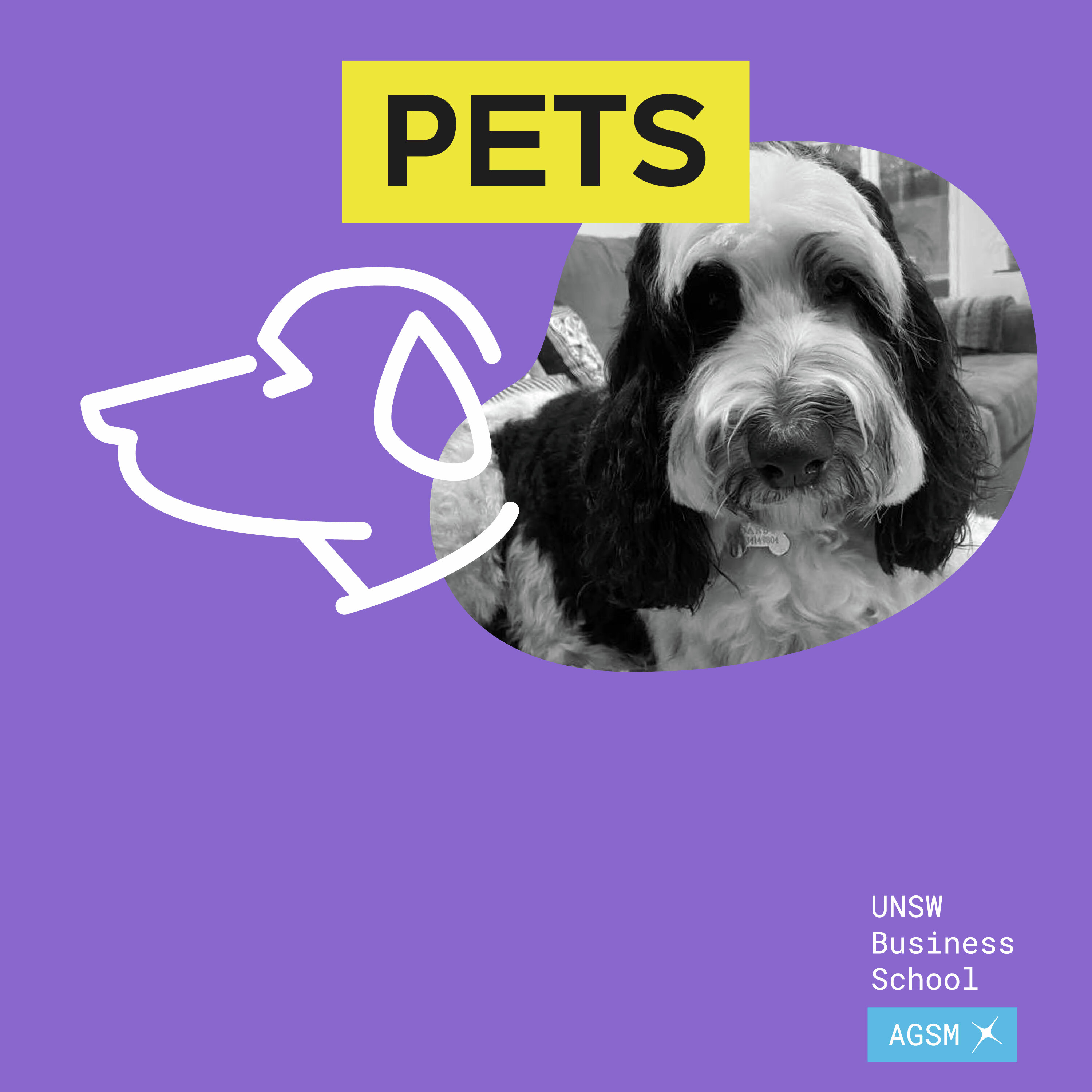 Pampering our pets – Inside one of Australia's fastest-growing industries episode artwork