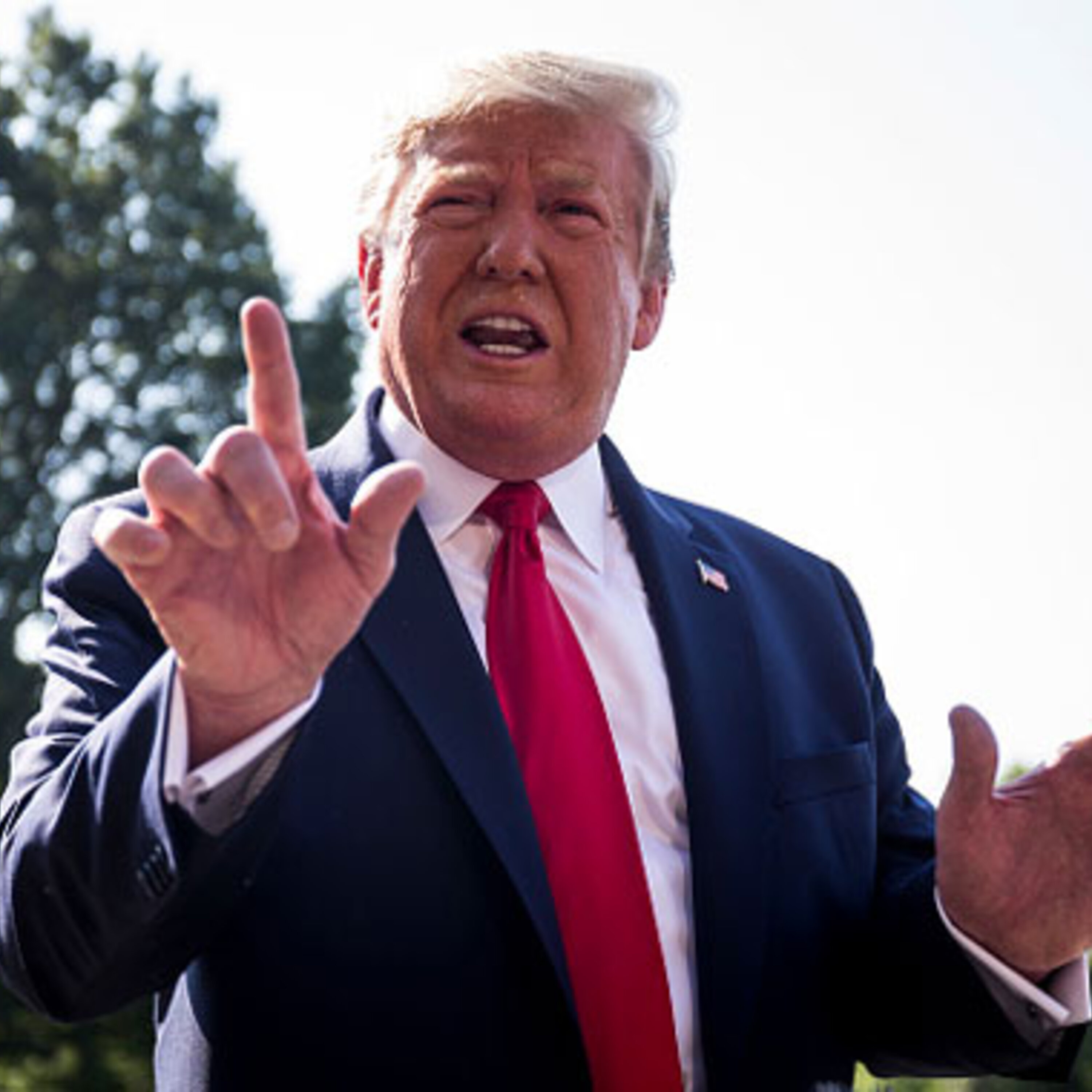 Portrait-robot du candidat pouvant battre Trump