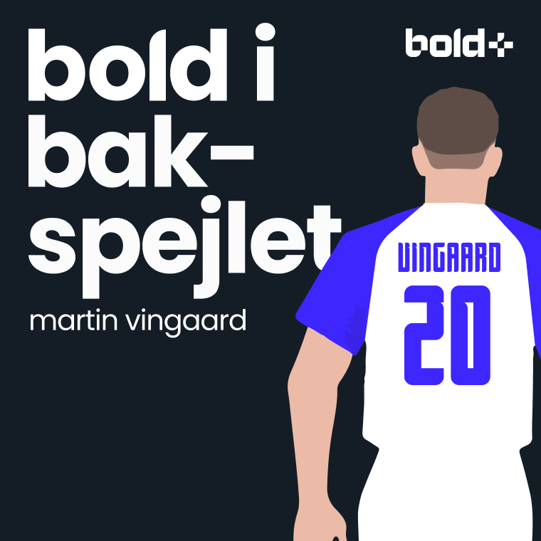 Ståles hårdhed tiltalte: Vingaard blev flået ud episode artwork