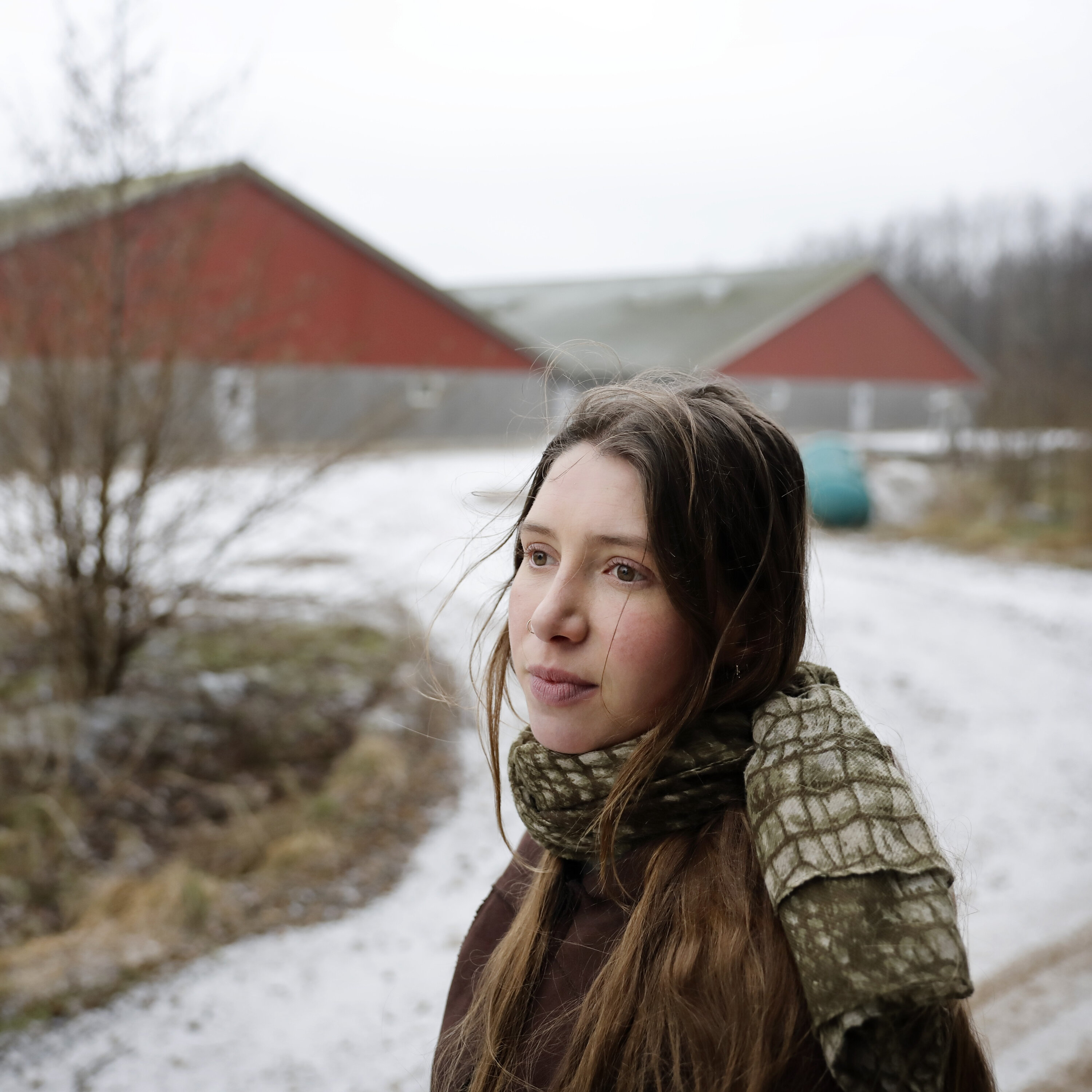 Ida advarer: Svinene får folk til at flytte fra landet