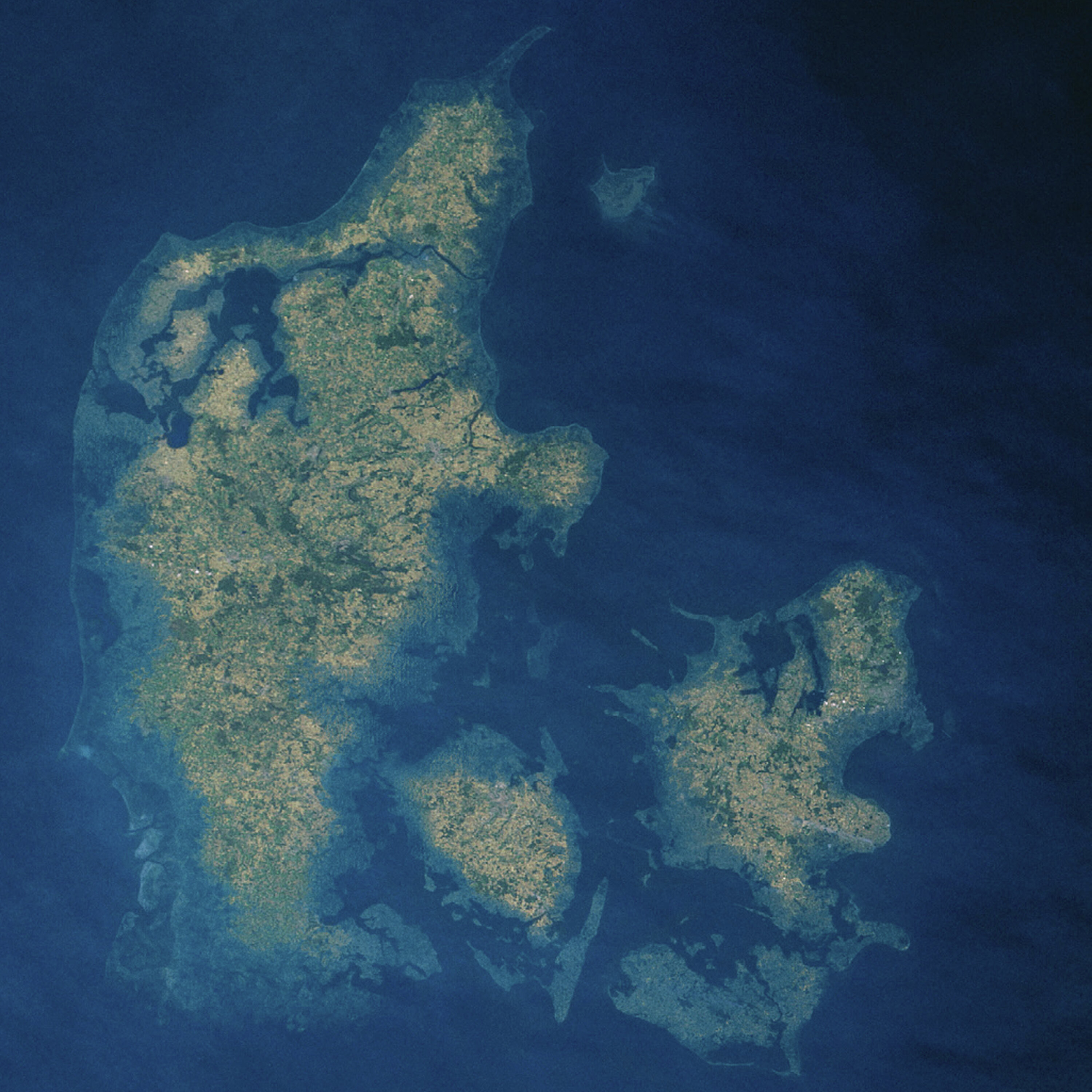 Det allerværste klimascenarie er afblæst: Overdrev danske forskere? episode artwork