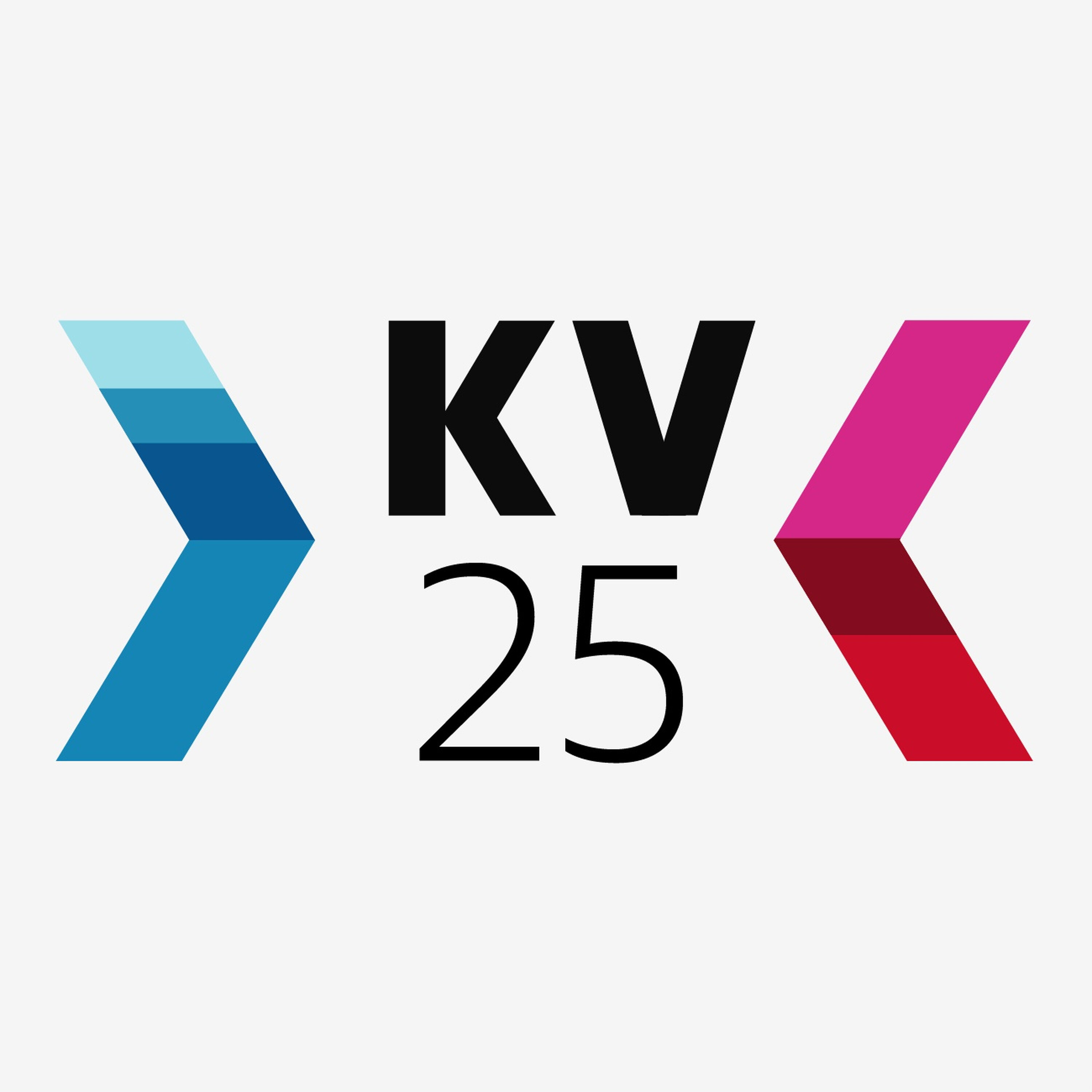 Er valgtest vildledning eller vejledning? Er valgtest vildledning eller vejledning?