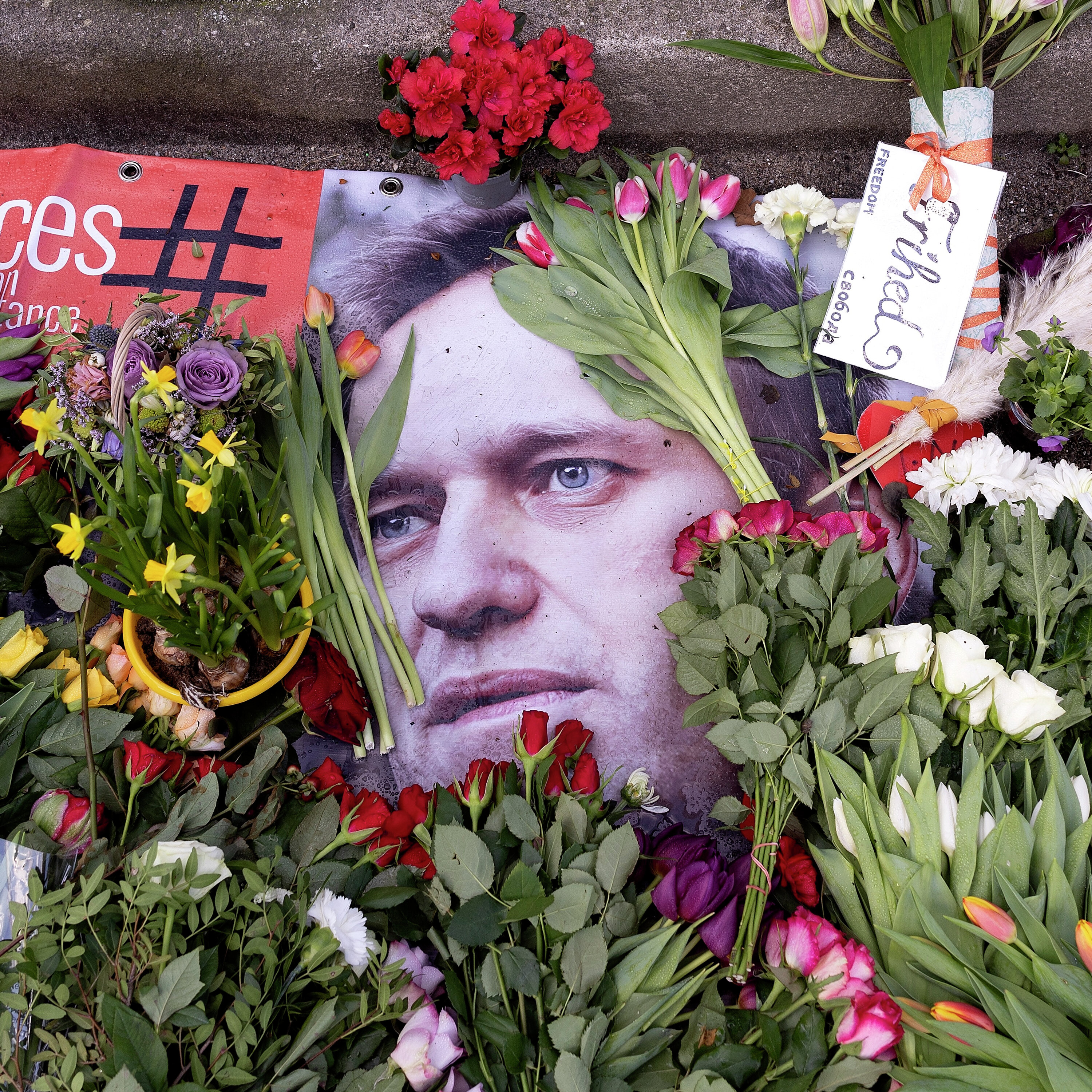 Aleksej Navalnyj: »Det gjorde egentlig ikke ondt at dø«