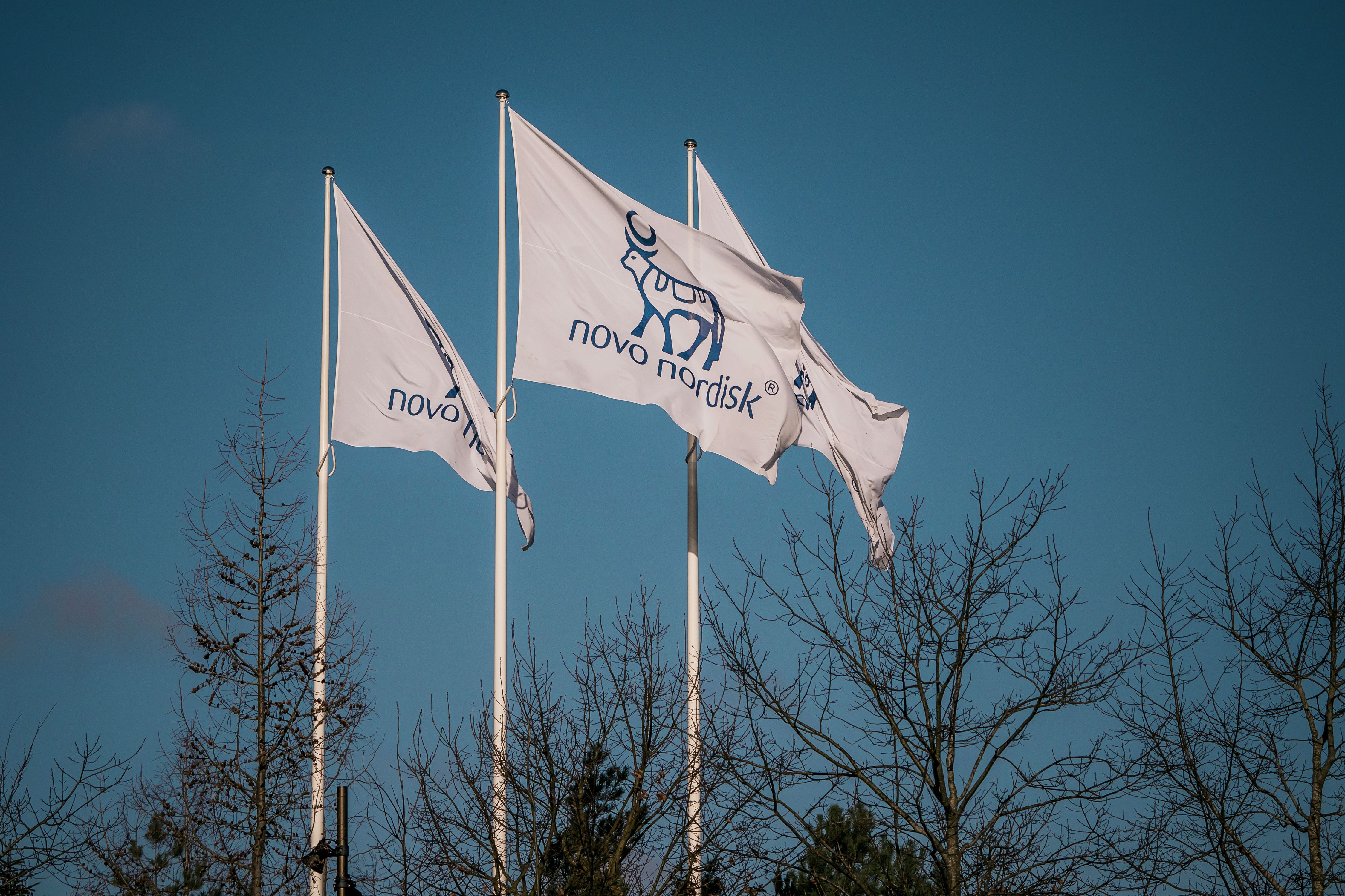 Bundlinjen: Her er 10 vilde bud på et dramatisk efterår