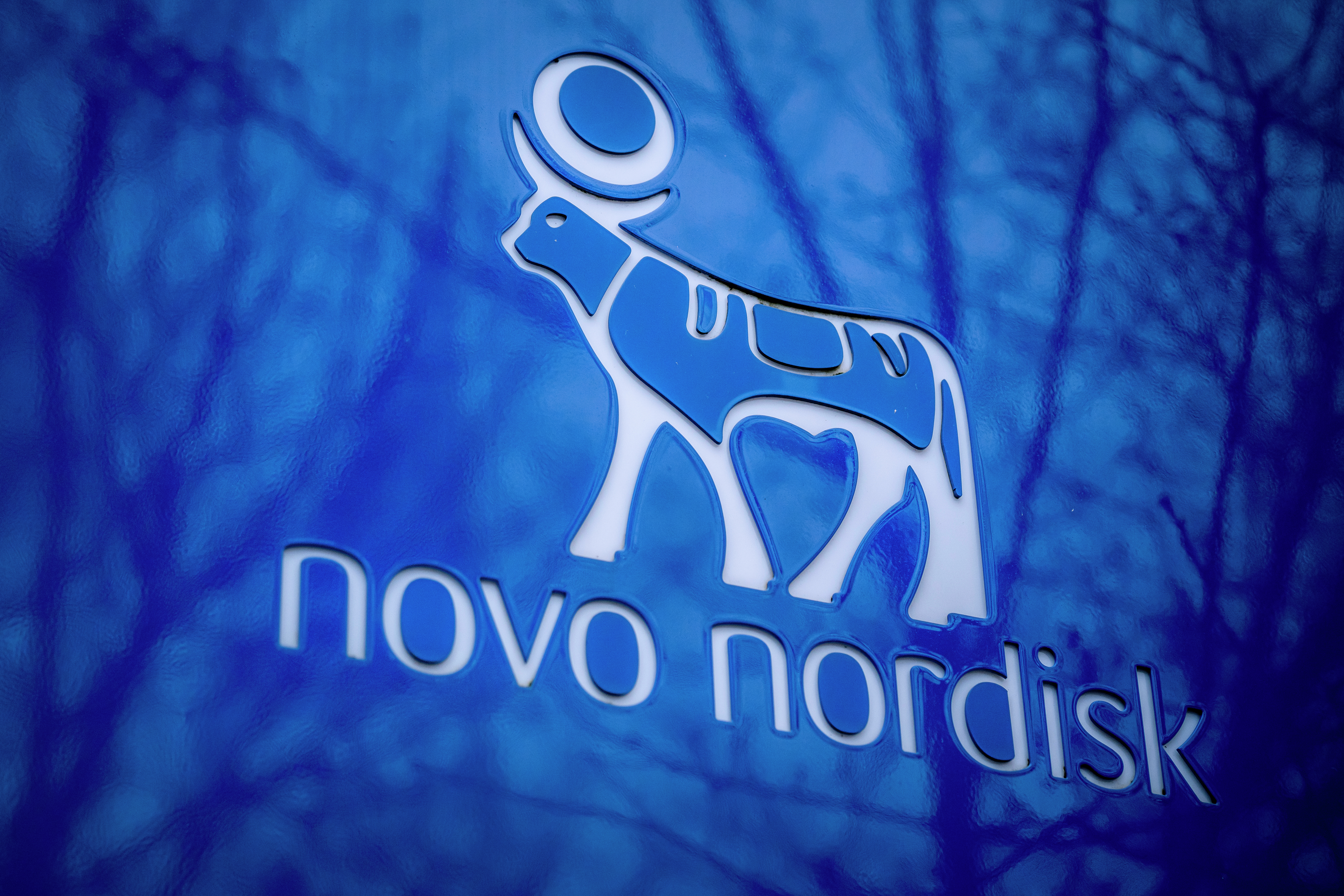 Bundlinjen: Den særlige Novo Nordisk-ånd er truet af vild vækst og kaos på direktørgangen