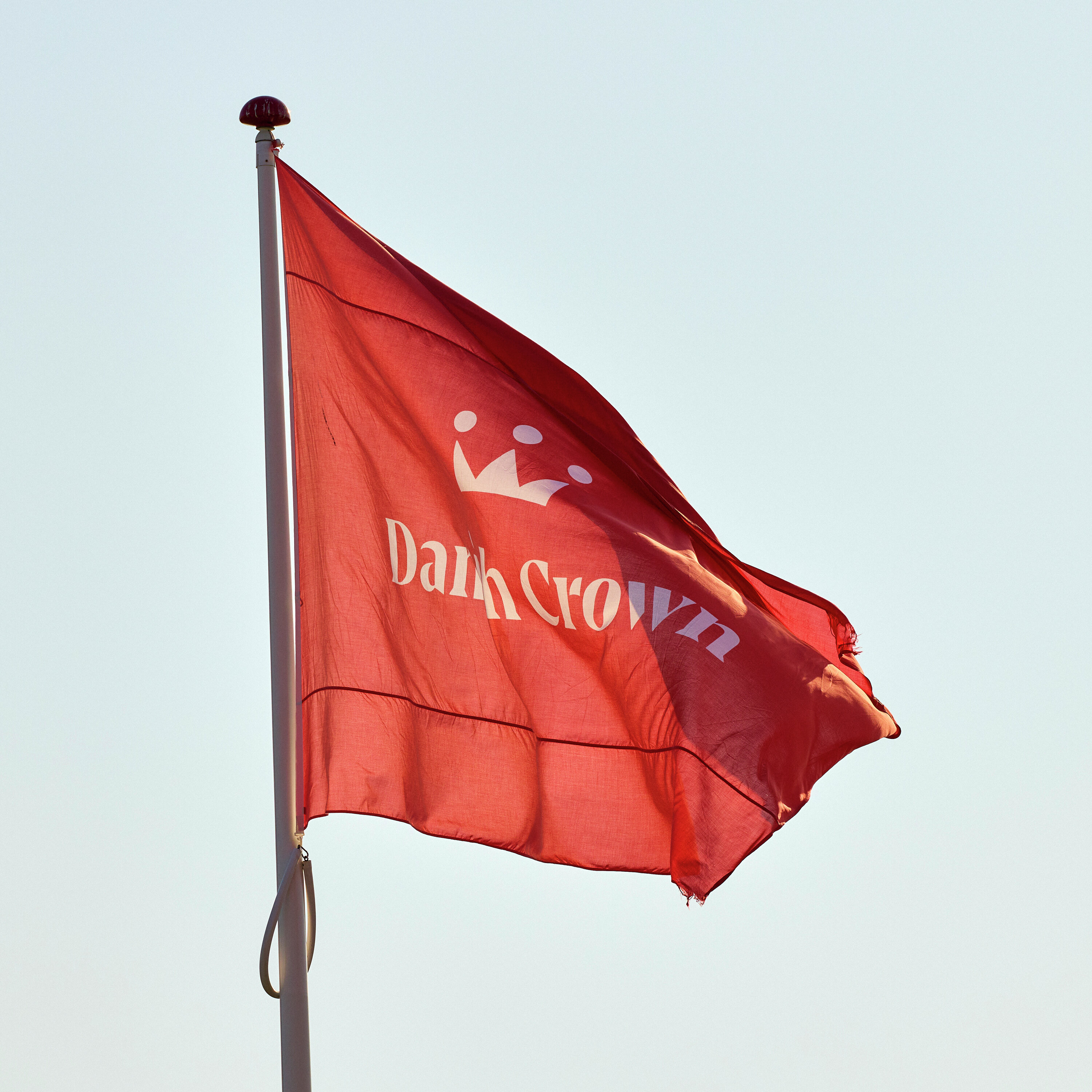 Lyn-analyse: Danish Crown beskyldes for dobbeltmoral og dyremishandling