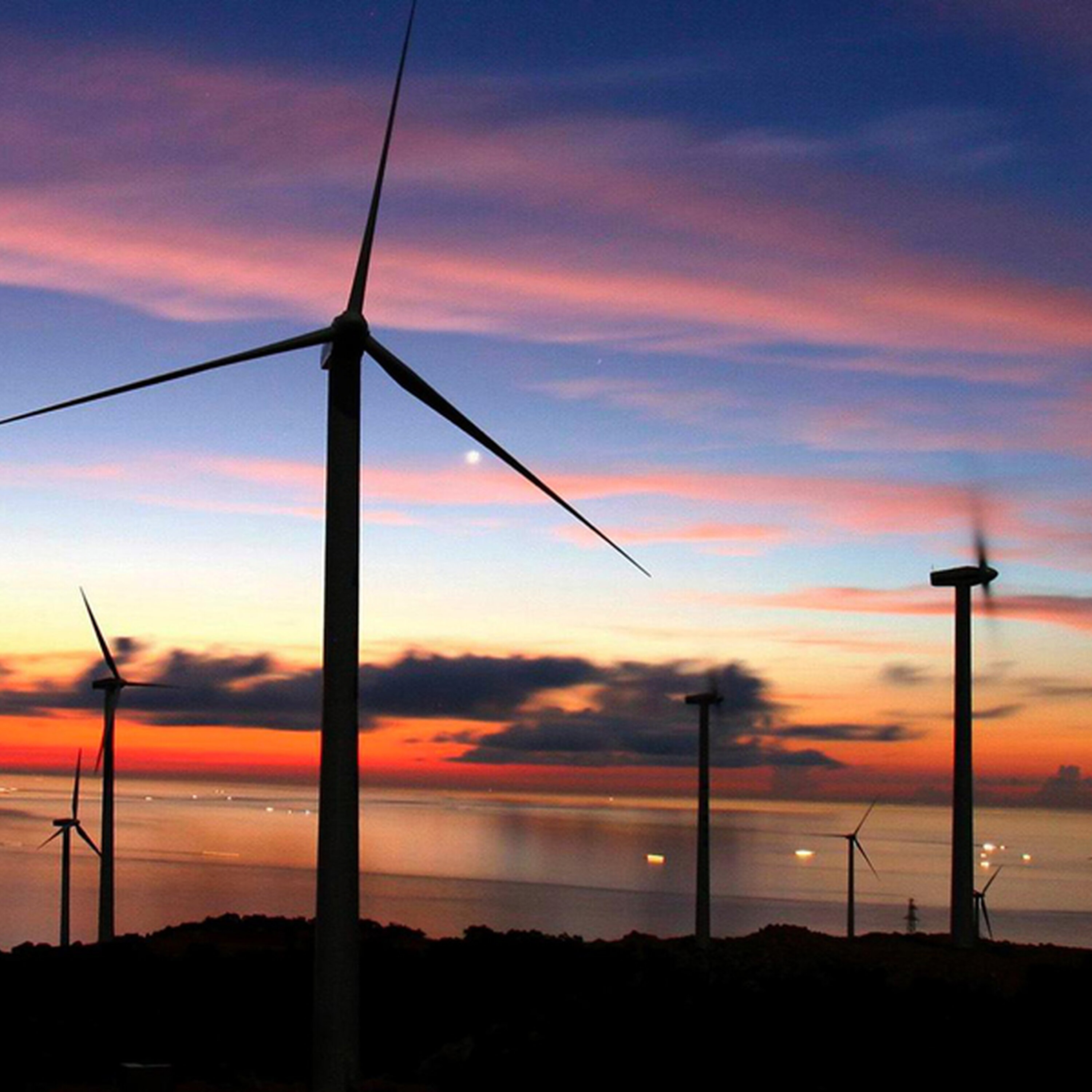 Finans Global: Et land spurter fra alle i klimakampen - og det handler om penge Finans Global: Et land spurter fra alle i klimakampen - og det handler om penge