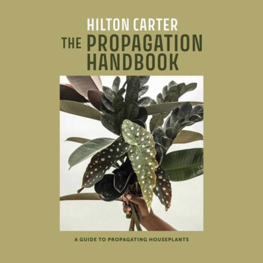 Propagating plants and harvesting happiness with Hilton Carter