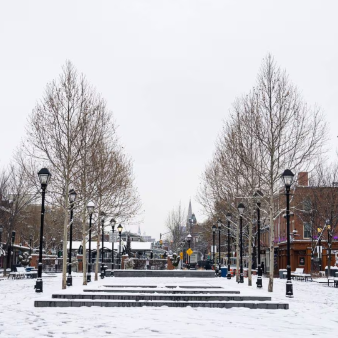 Newswrap: Snowfall & the Baltimore Sun's new ownership