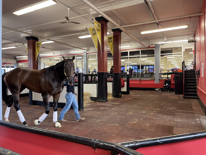 News Wrap: The future of Preakness