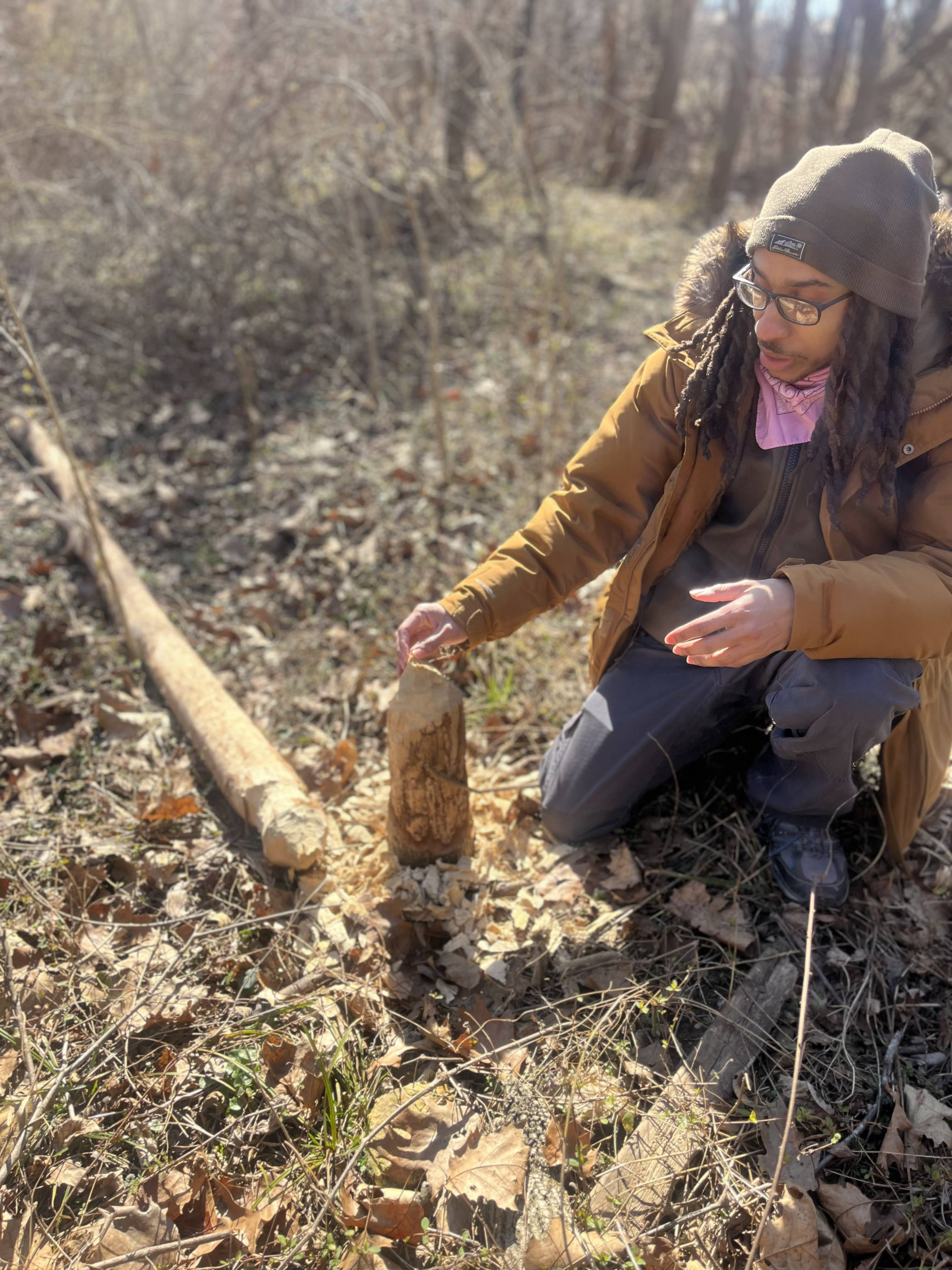 Backyard Basecamp brings you back to nature