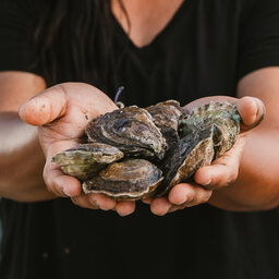 A Chesapeake Bay oyster farmer reflects on her industry